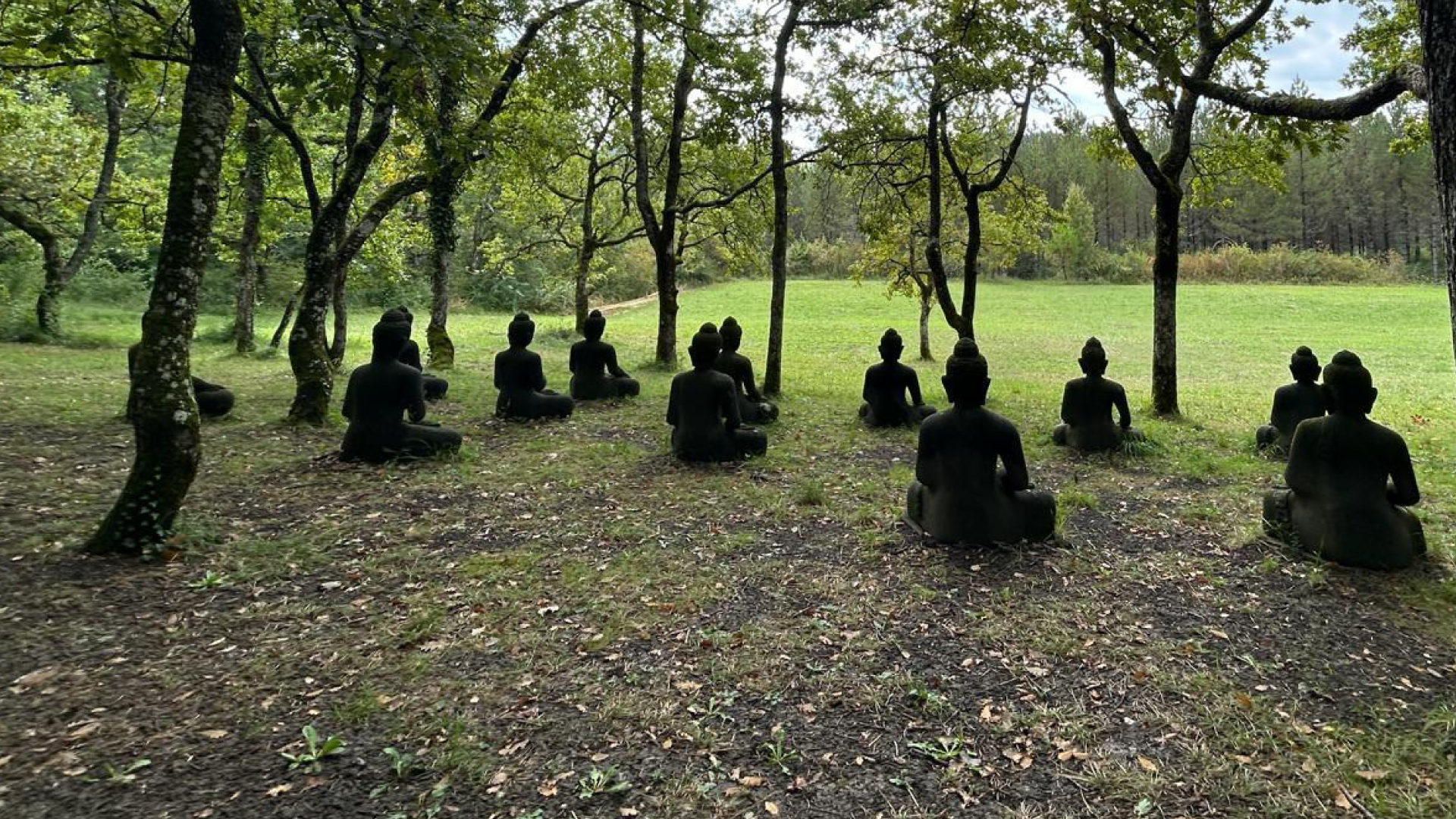 Changing the System from Within