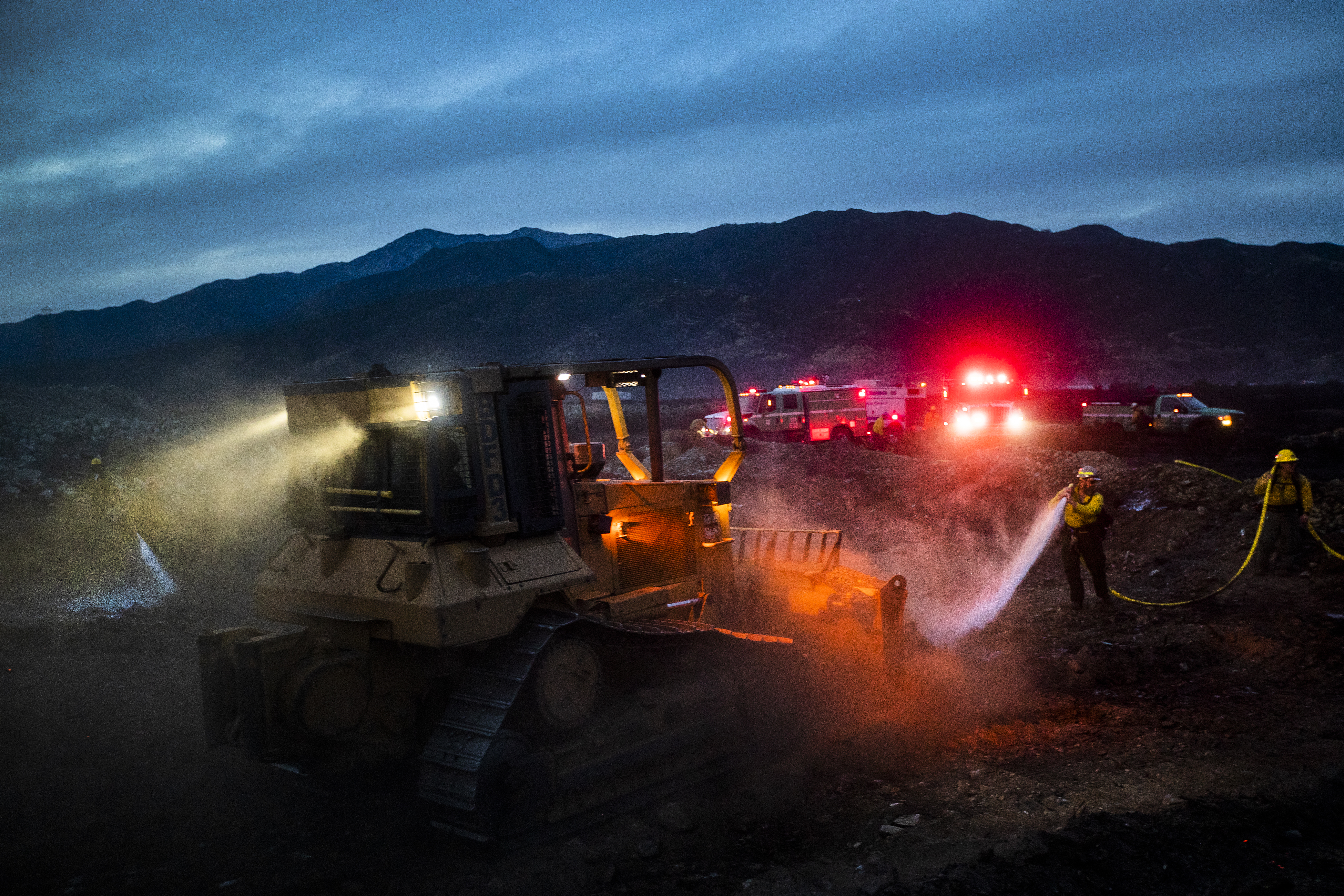 Forest dept firefighters