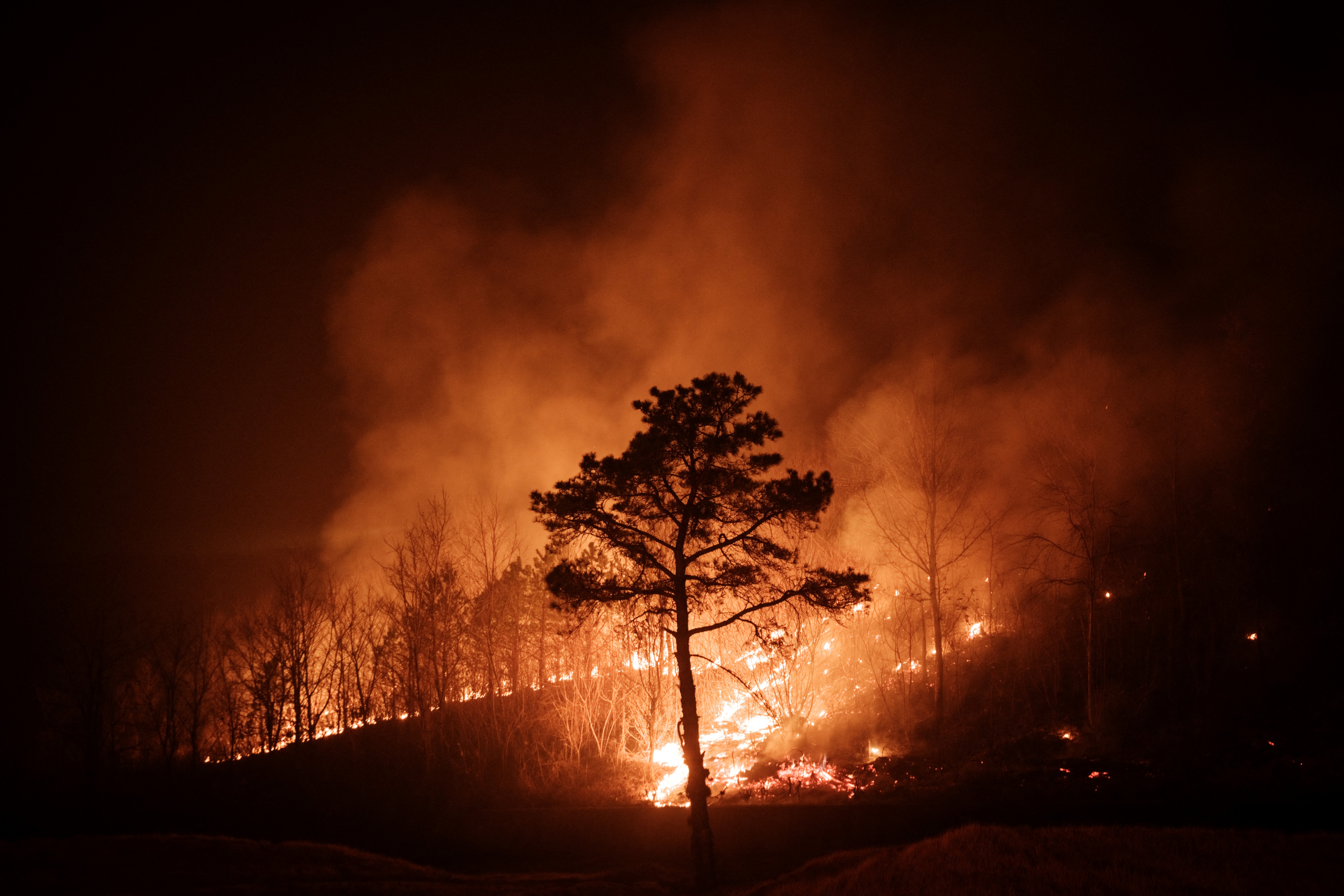 Wildfires kill 18 and displace thousands in South Korea