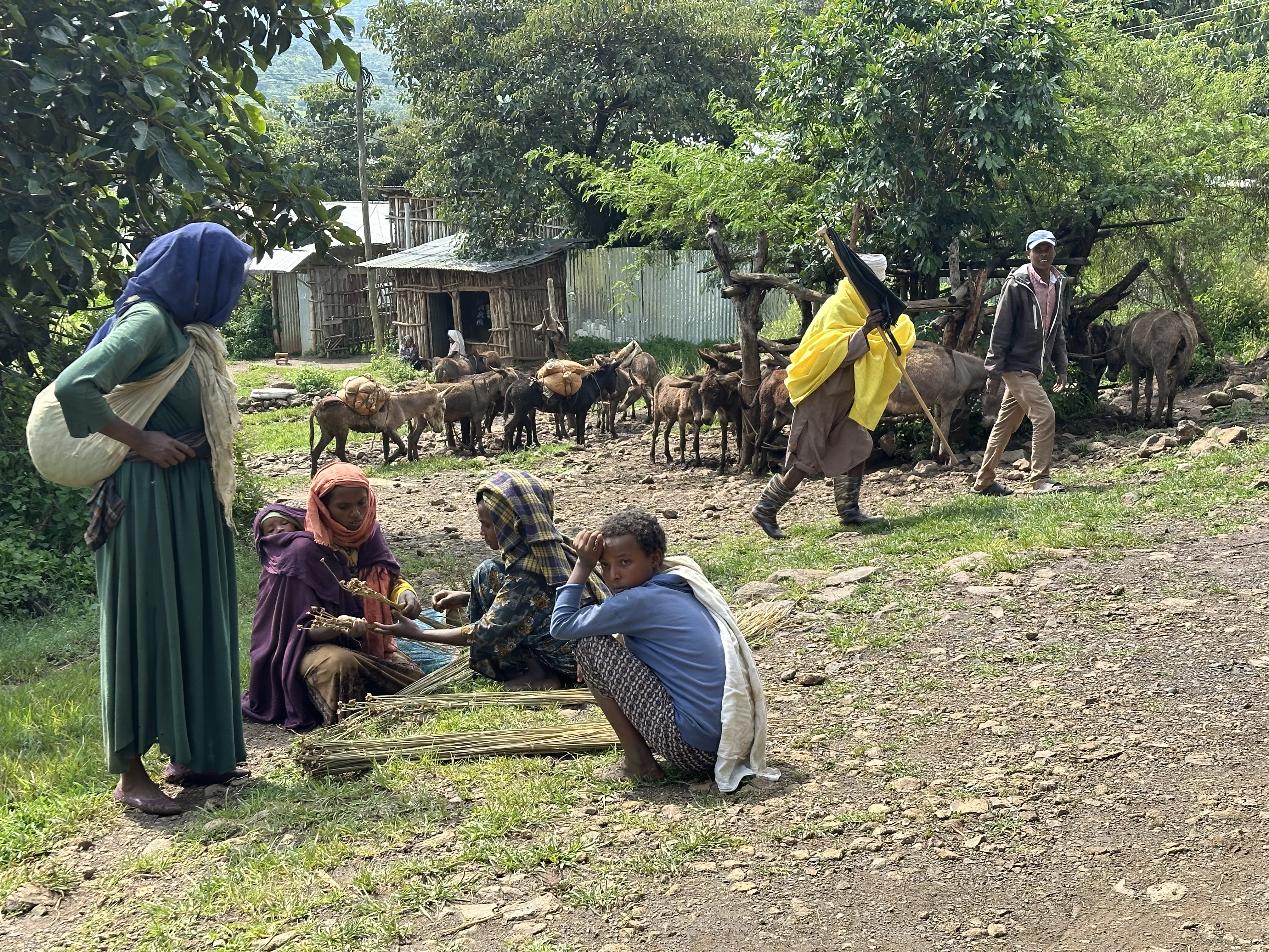 Ethiopia Awra Amba conflict