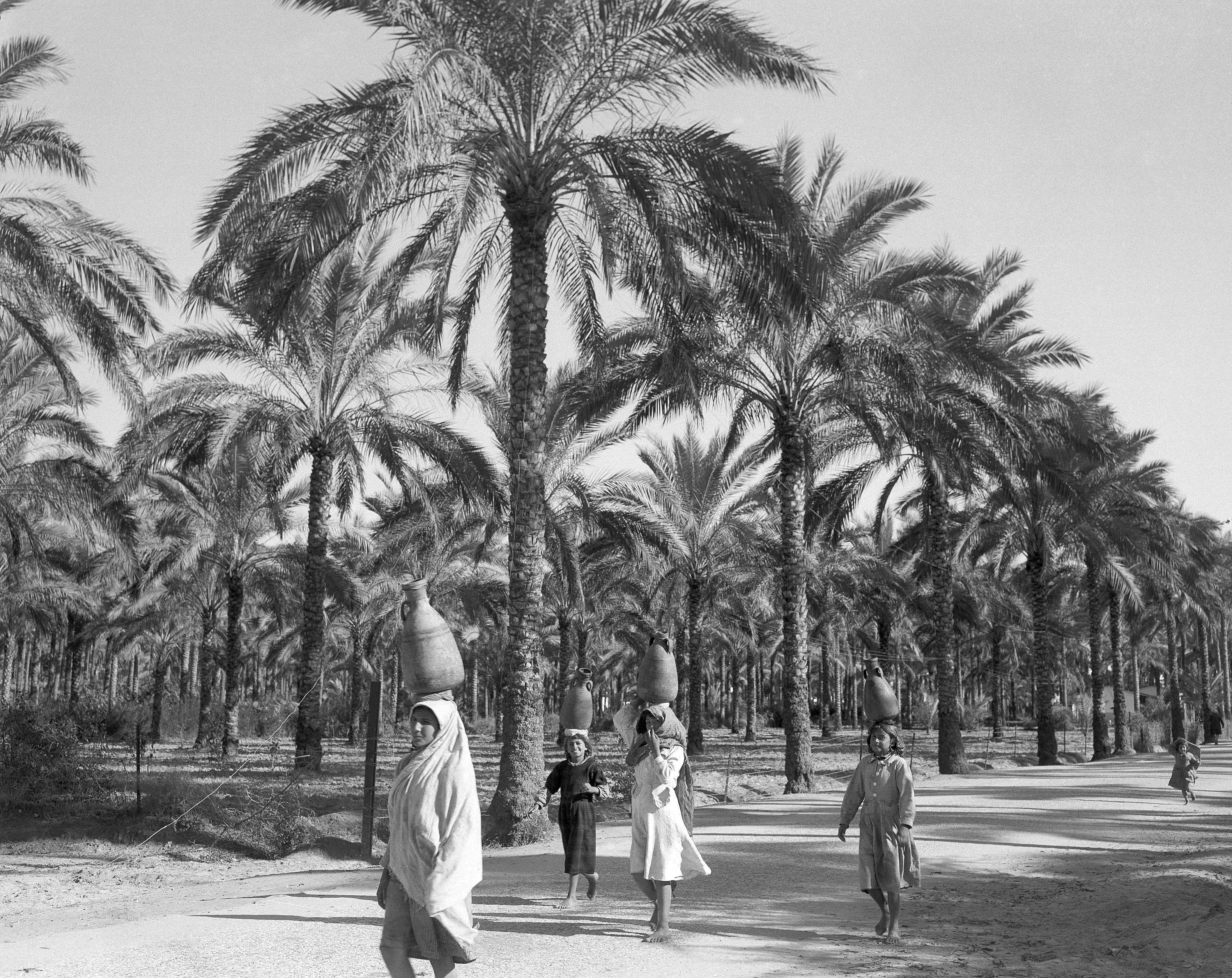 Palestinian girls carrying water in a date grove in Deir el Balah, in the Gaza Strip of Egypt on Dec. 19, 1956. (AP Photo/Jean Jacques Levy)