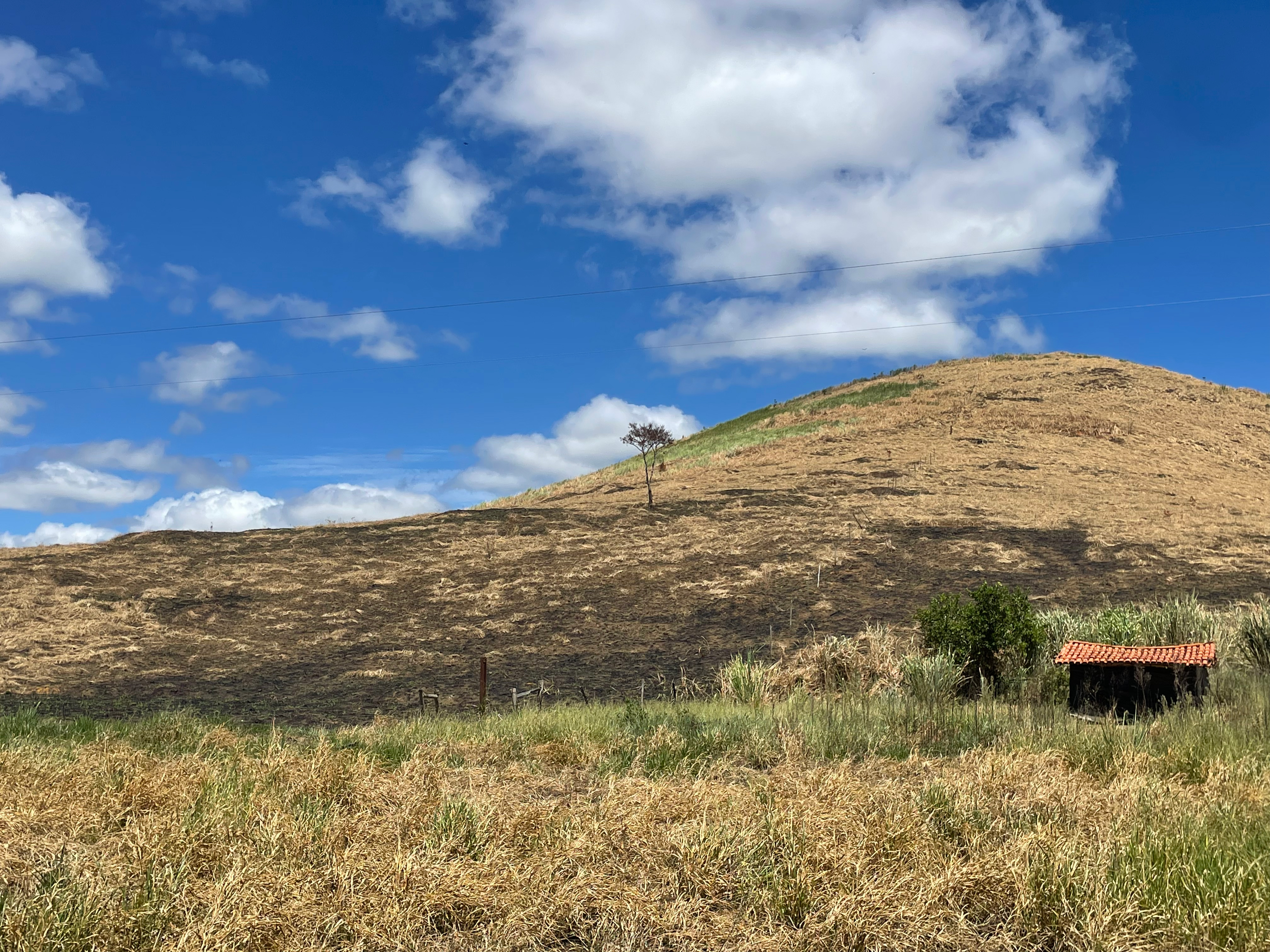 A small hut stands against a dry and scorched hillside in Minas Gerais, Brazil.
