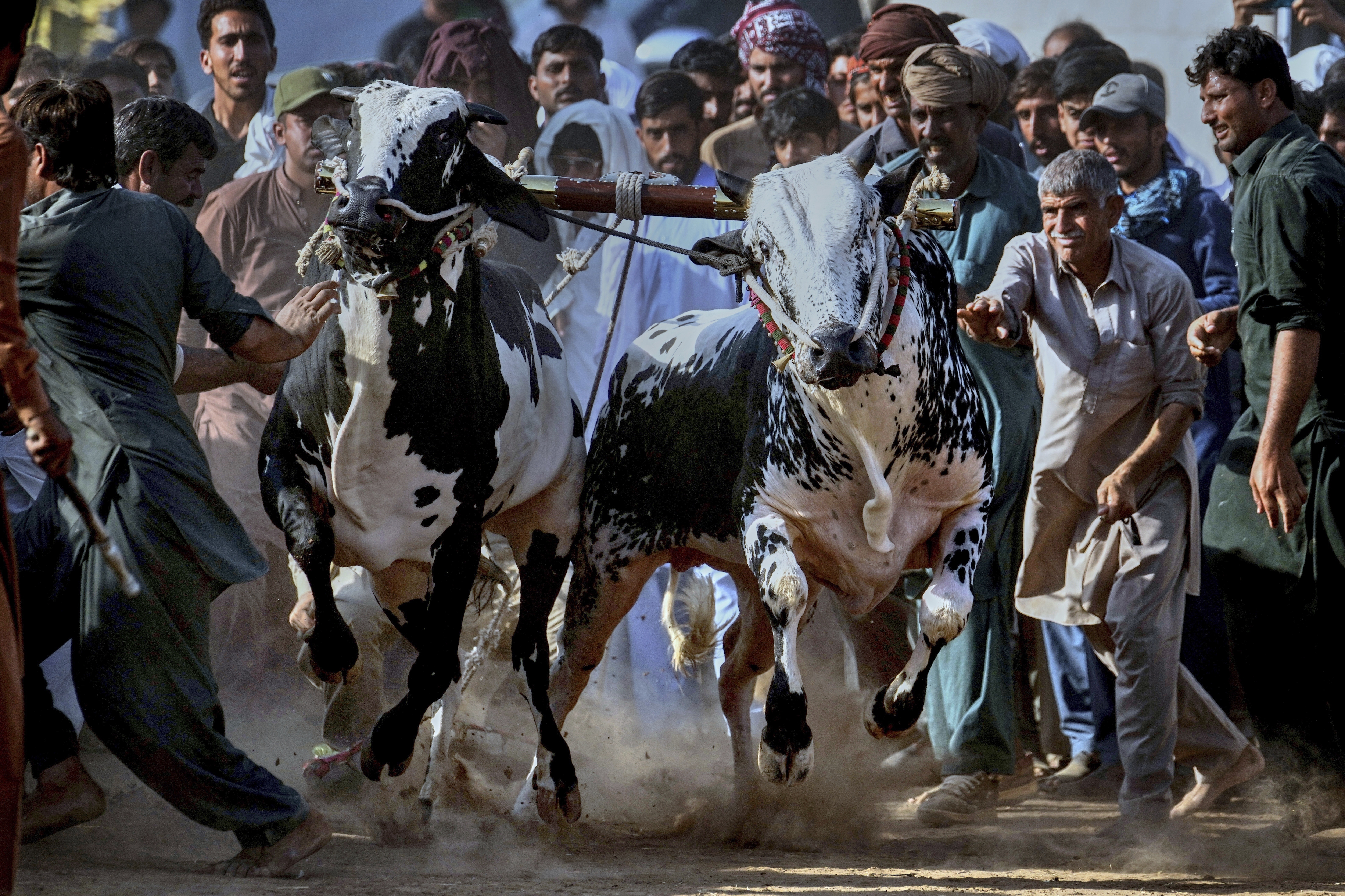 Pakistan Bull Racing