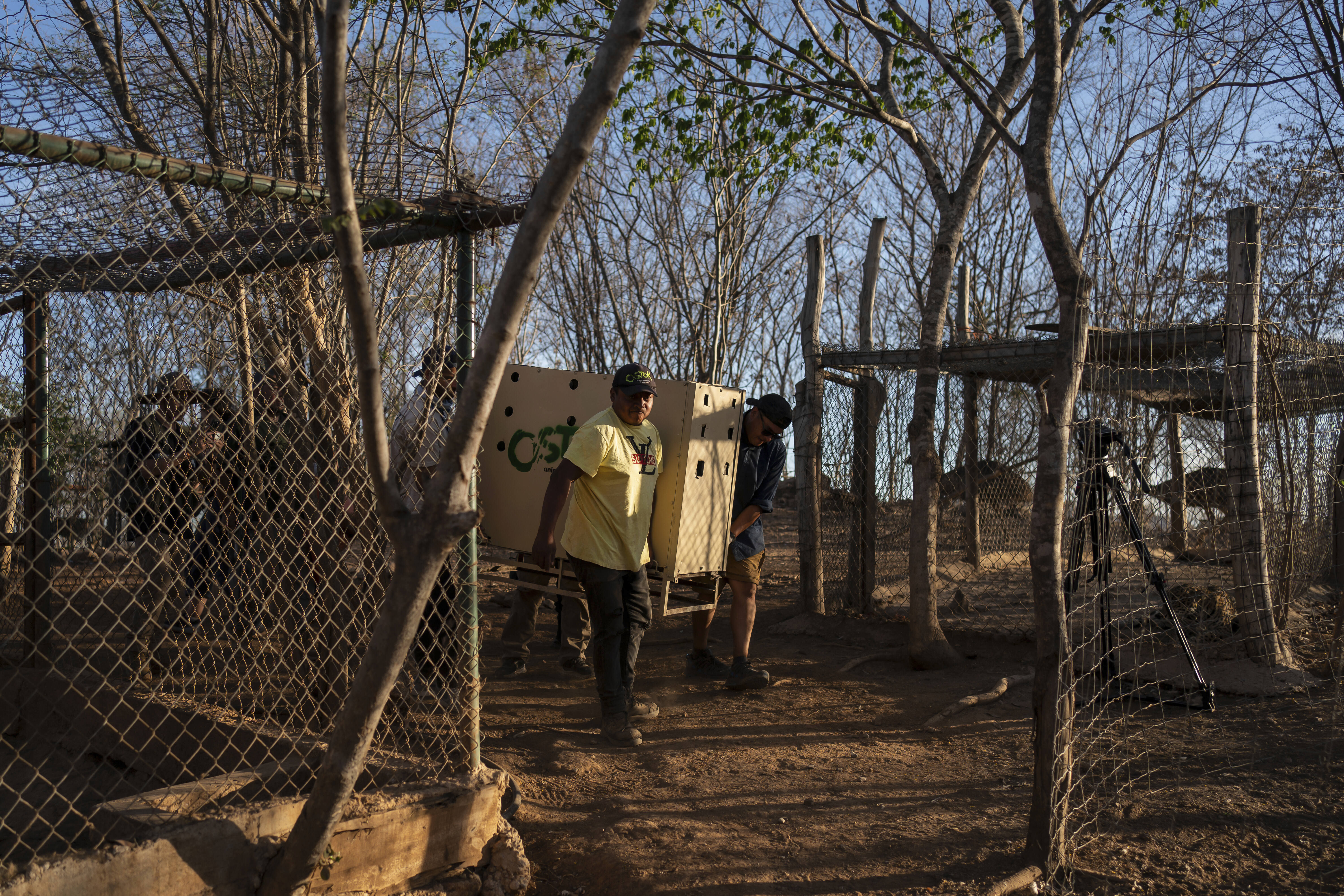 Mexico Violence Animals Refuge