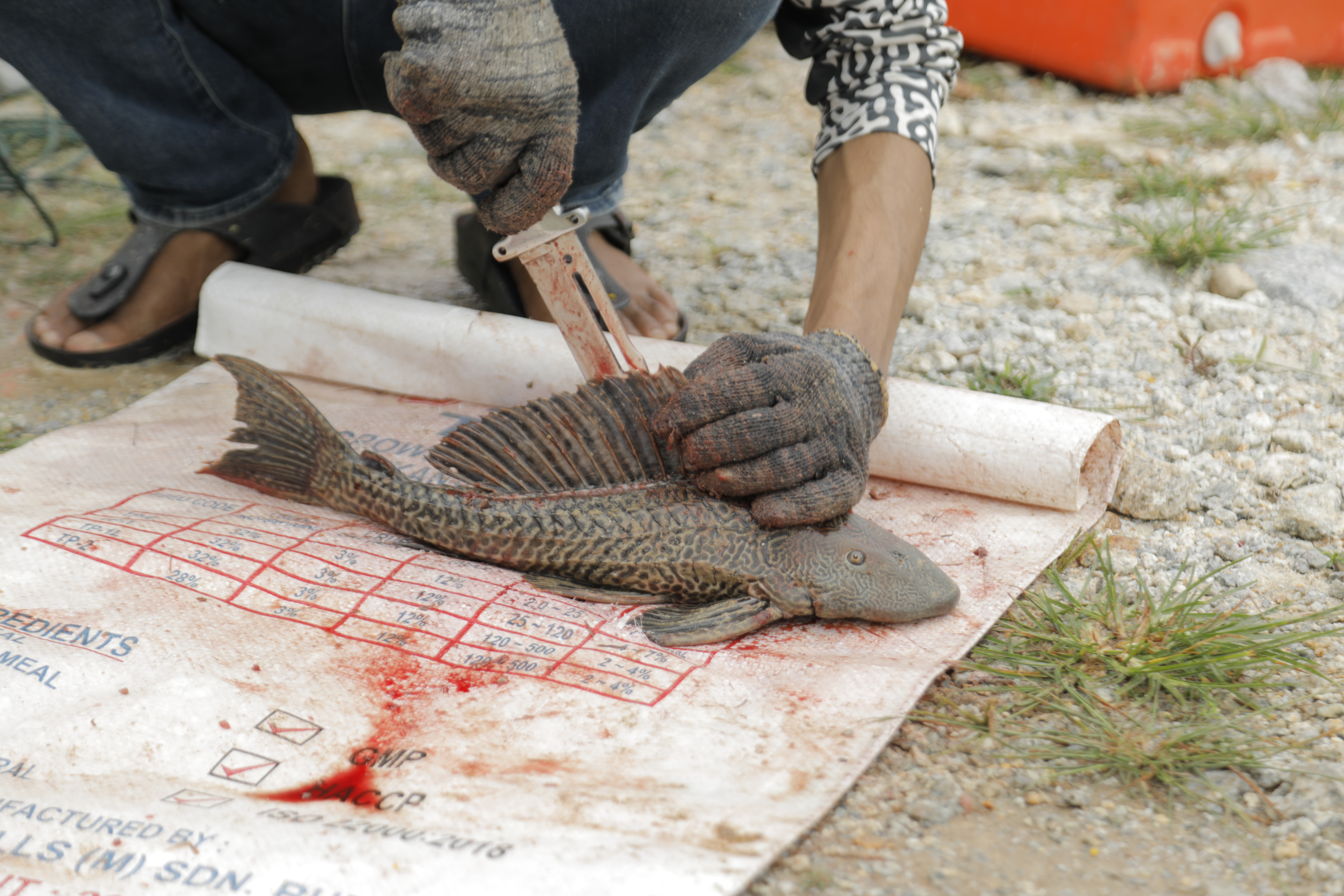 [Patrick Lee/Al Jazeera]