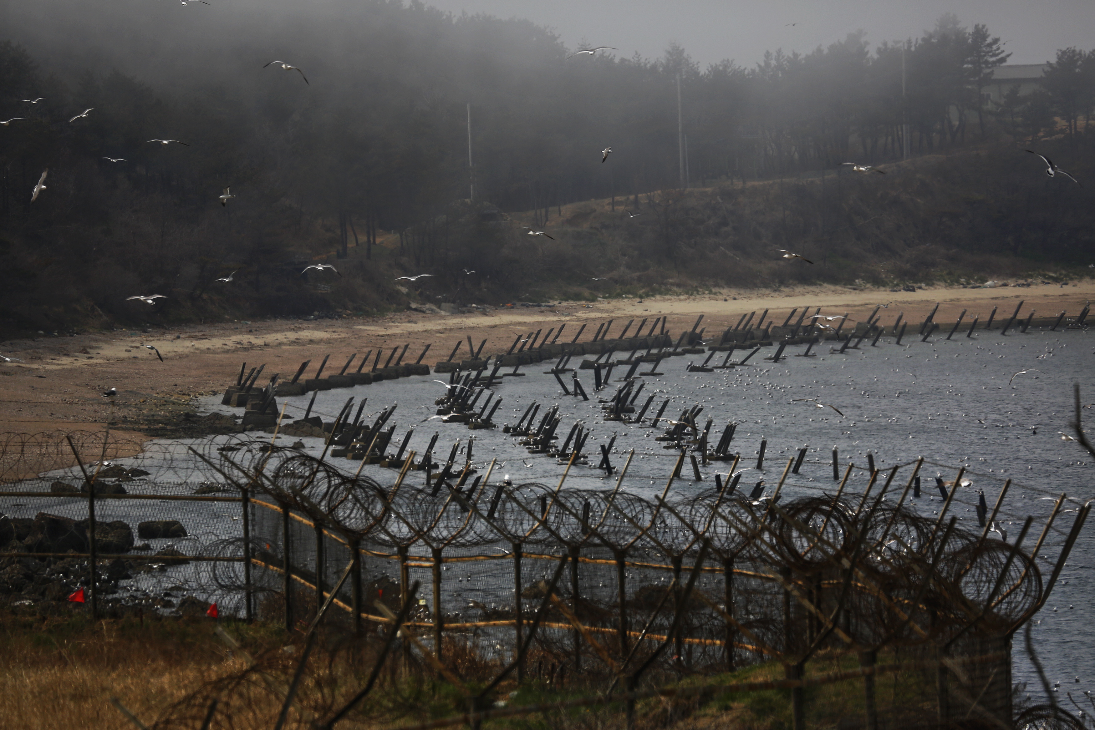 Anti-landing spikes placed by South Korean military are seen during low tide on a beach.