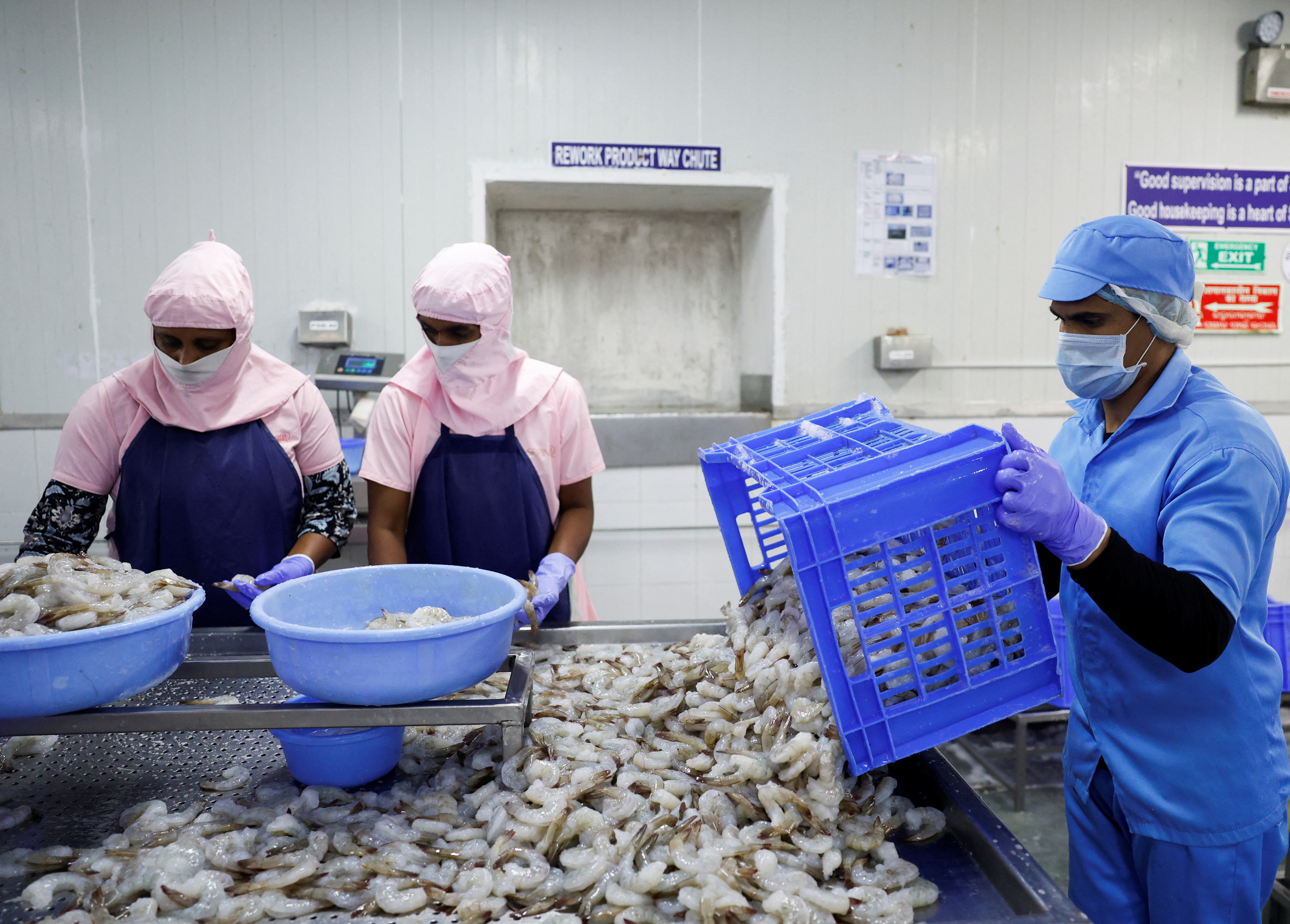 Workers sort shrimps inside a processing unit at a shrimp factory situated on the outskirts of Vishakhapatnam, India, April 10, 2025. REUTERS/Sahiba Chawdhary