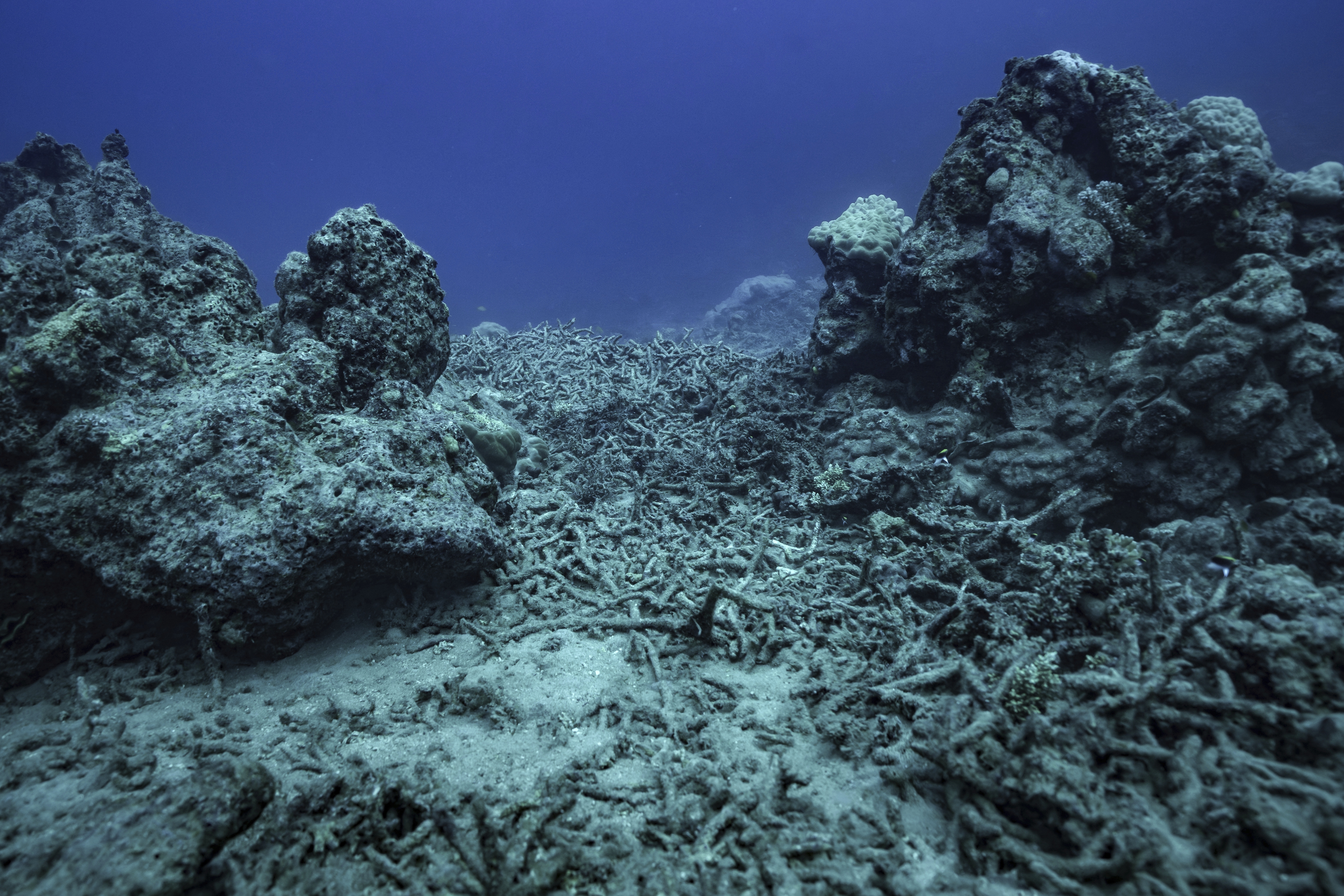 Climate Vanuatu World Court