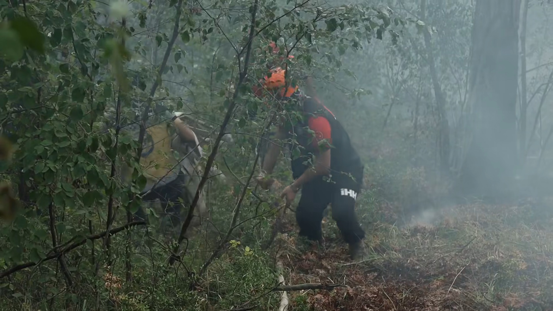 Two firefighters hauling a hose through dense forest