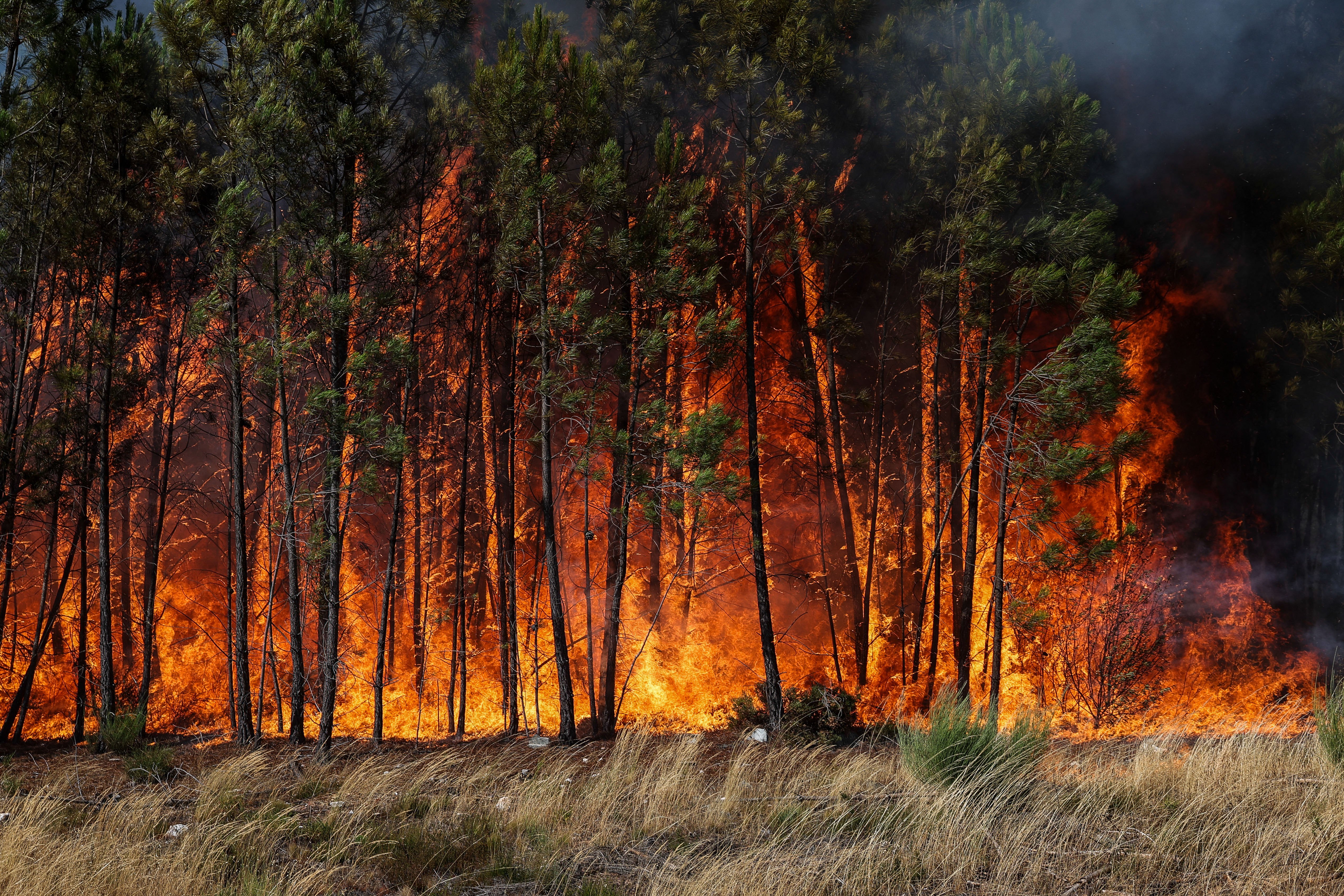 Wildfires rage across Spain and Portugal as record area of land burnt