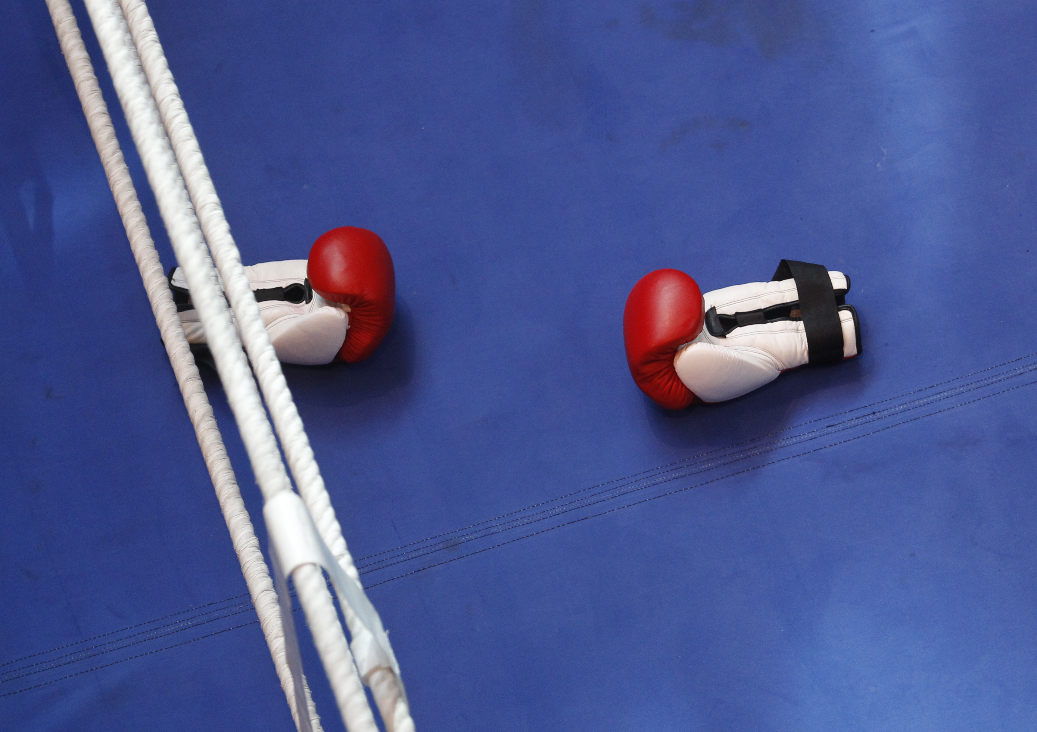 A stock image of boxing gloves seen lying in a ring.
