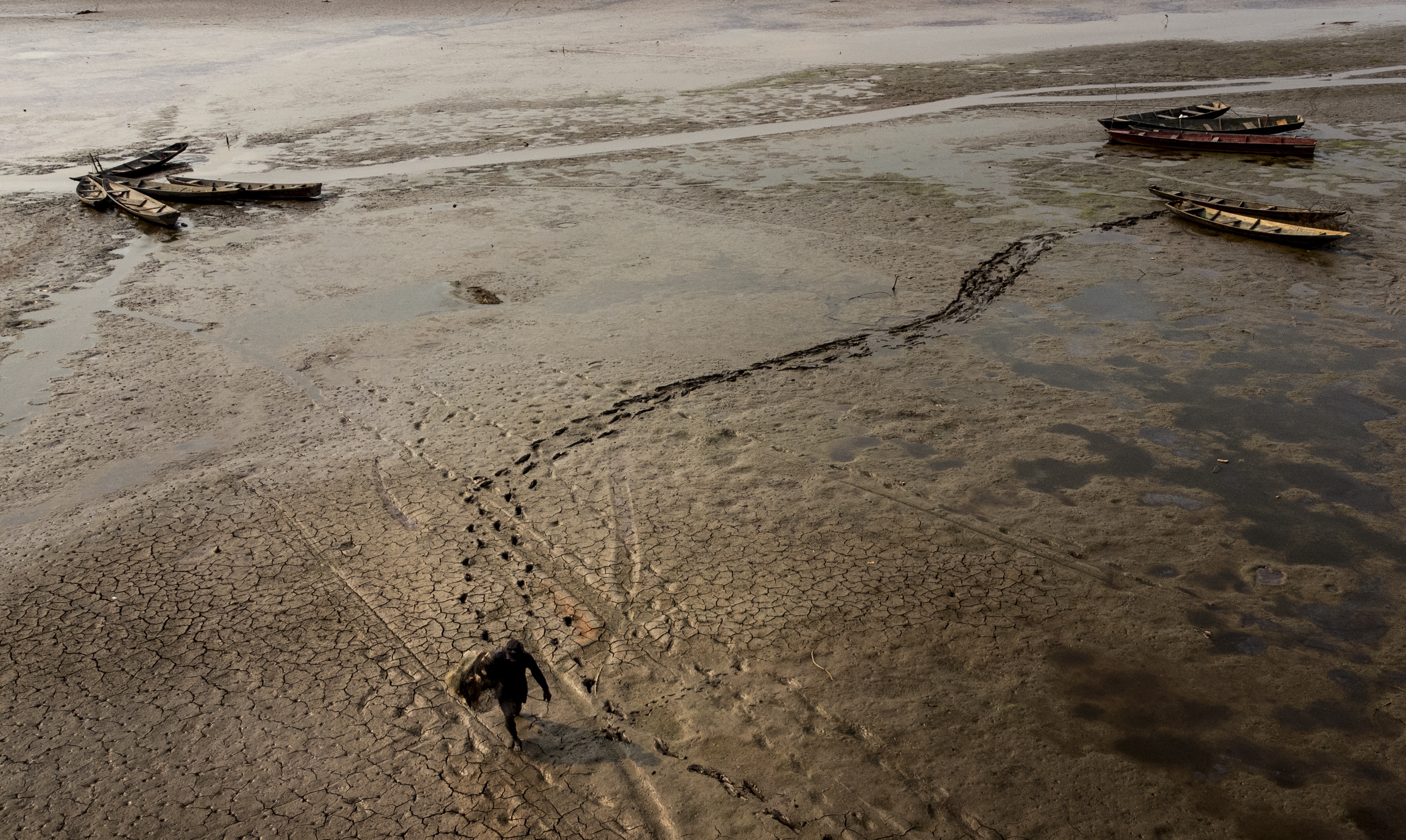 A person walks through the drought-stricken Lago do Aleixo in Amazonas, Brazil