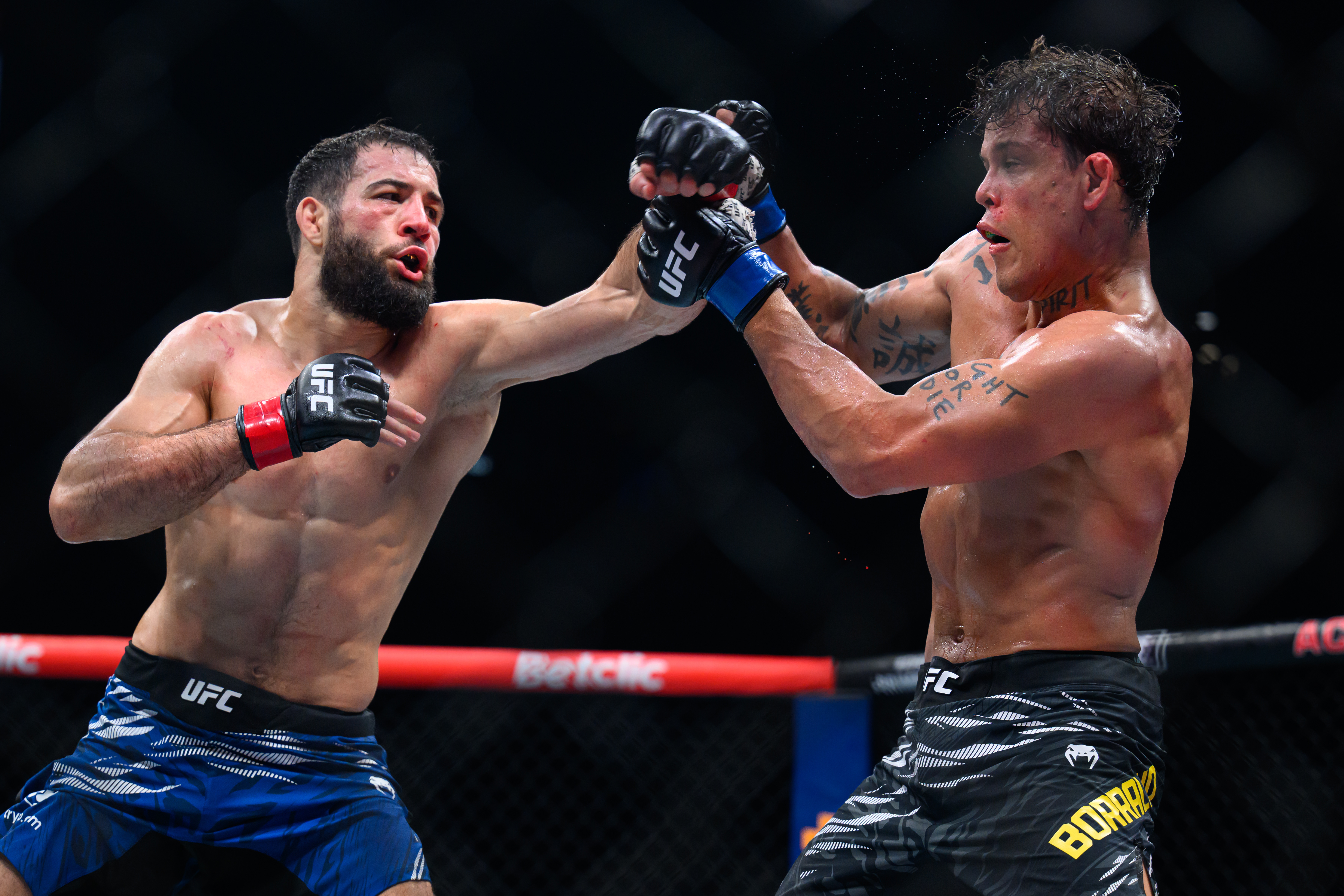 Imavov and Borralho in action.