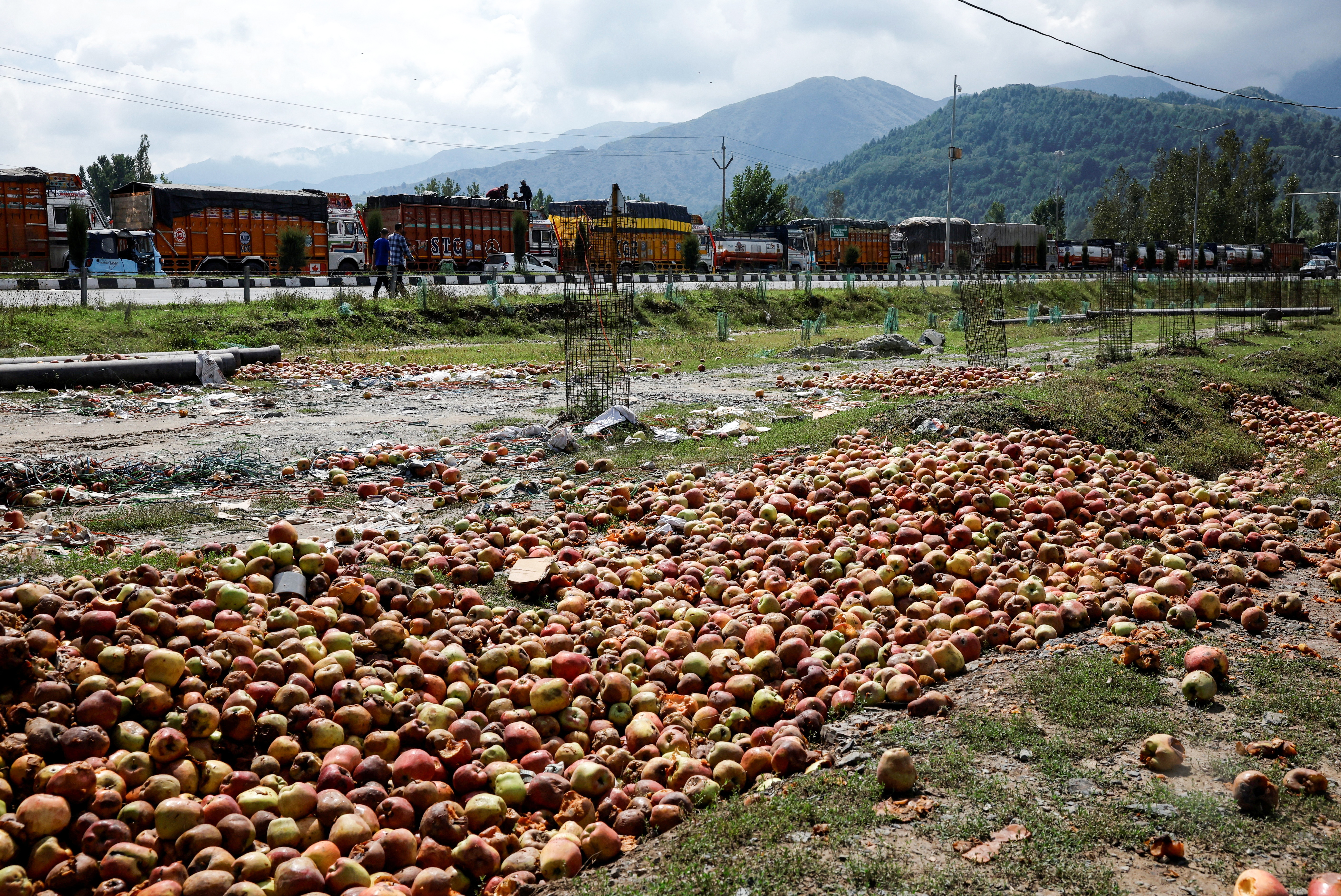 Rotten apples lie on the ground near trucks stranded along the Jammu-Srinagar National Highway
