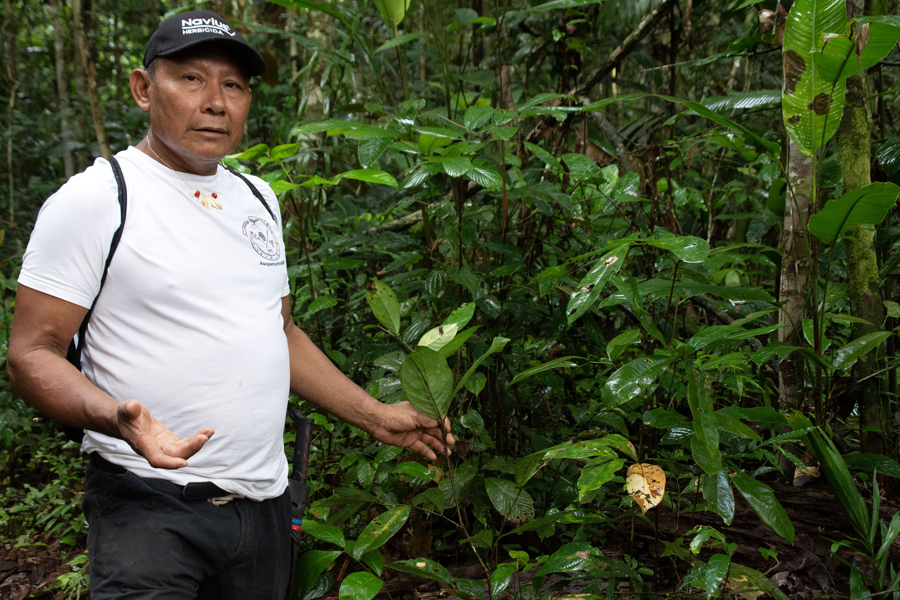 Jedeku talks to the camera and holds the leaf of a green Amazonian plant