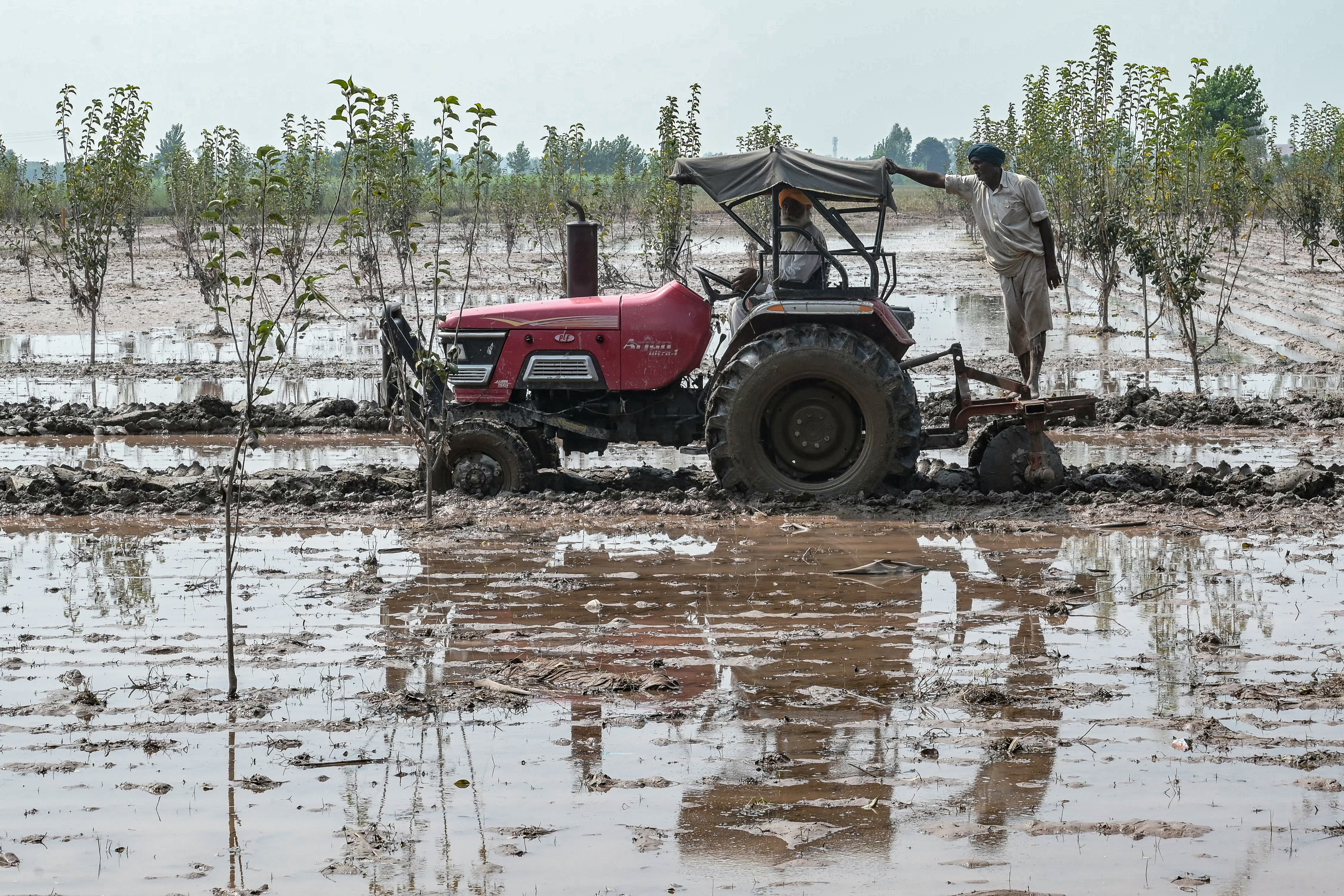 Floods devastate India's breadbasket of Punjab