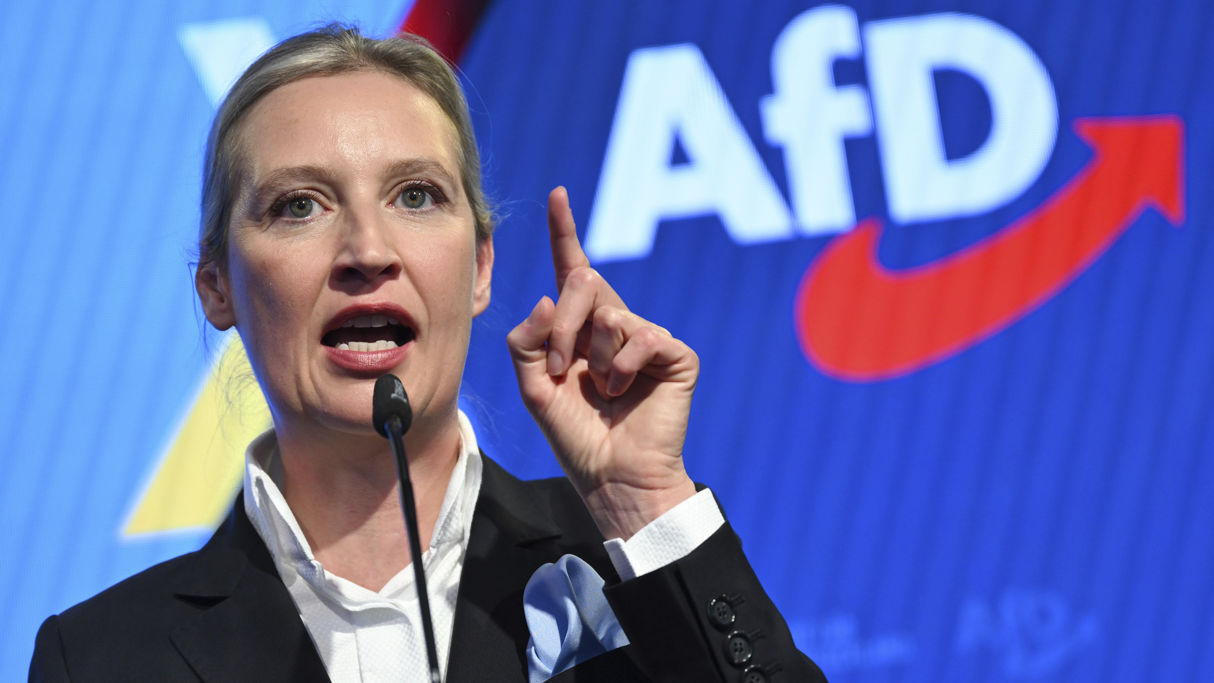 Alice Weidel