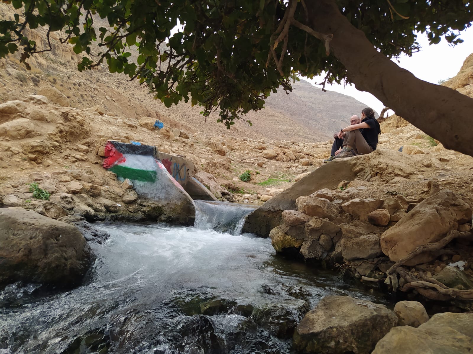 Two people sit on the side of a spring next to a tree, with a Palestinian flag painted onto the rocks