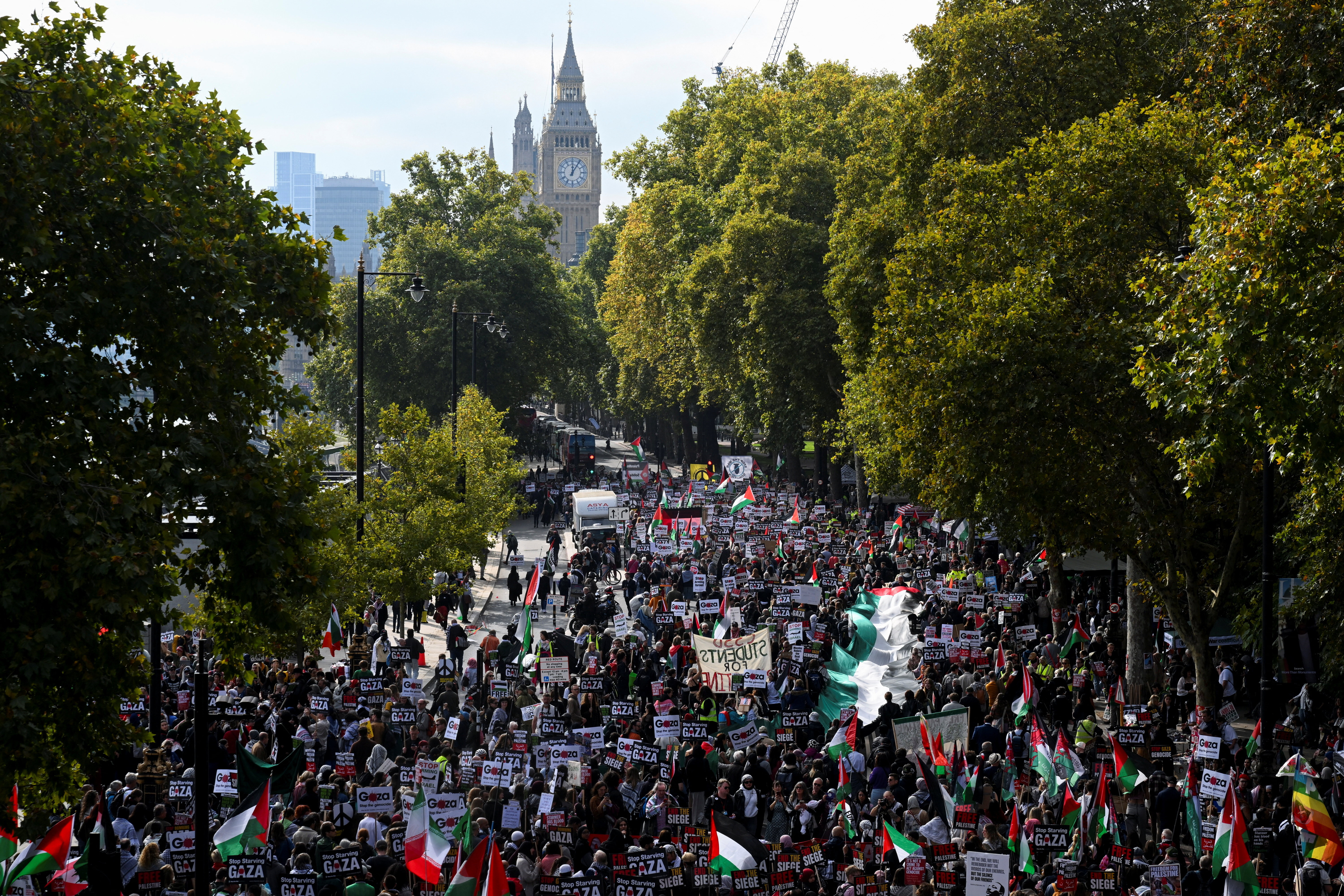 Pro-Palestinian supporters hold placards