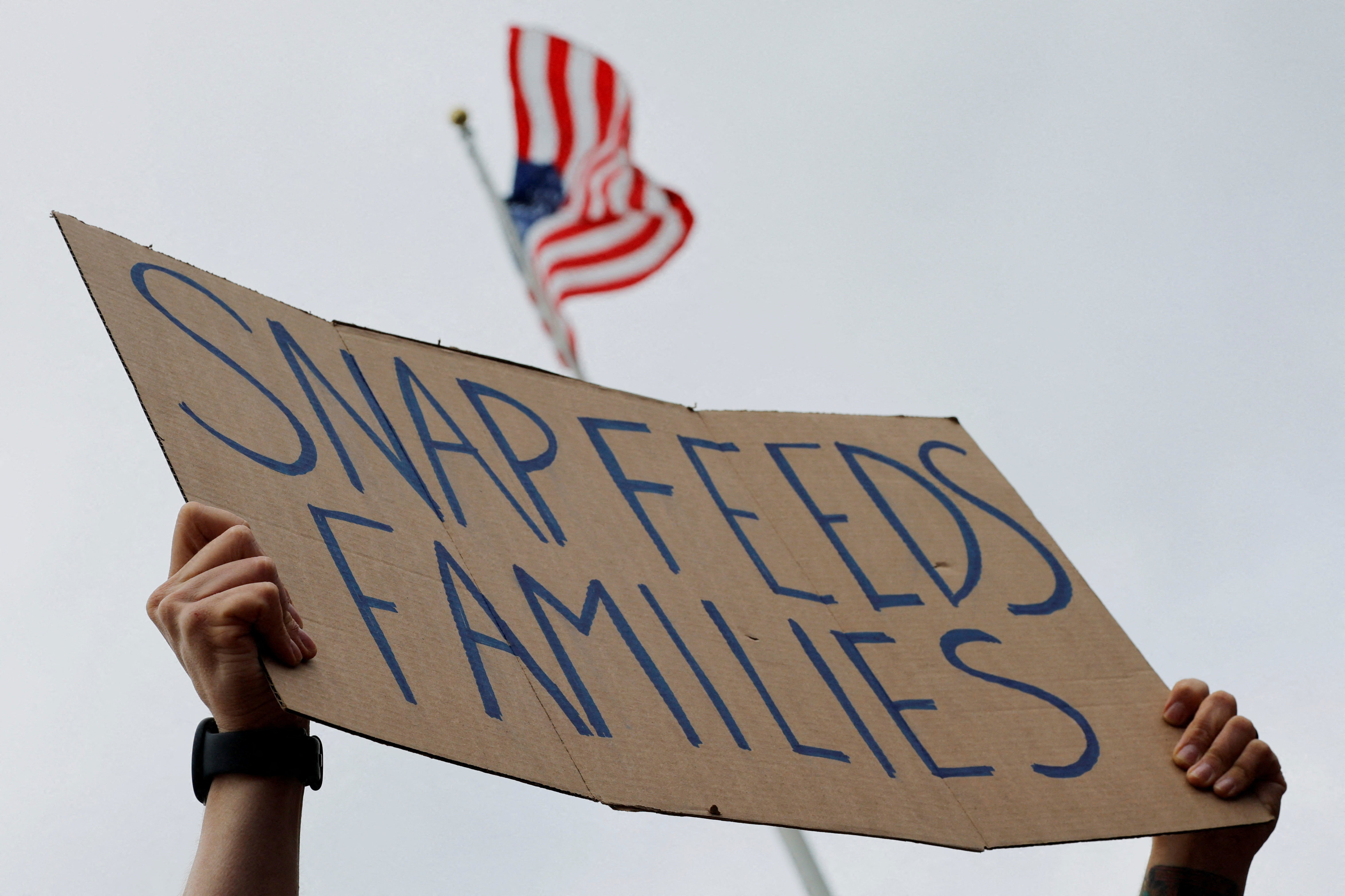 A person holds up a cardboard sign, "SNAP feeds families"