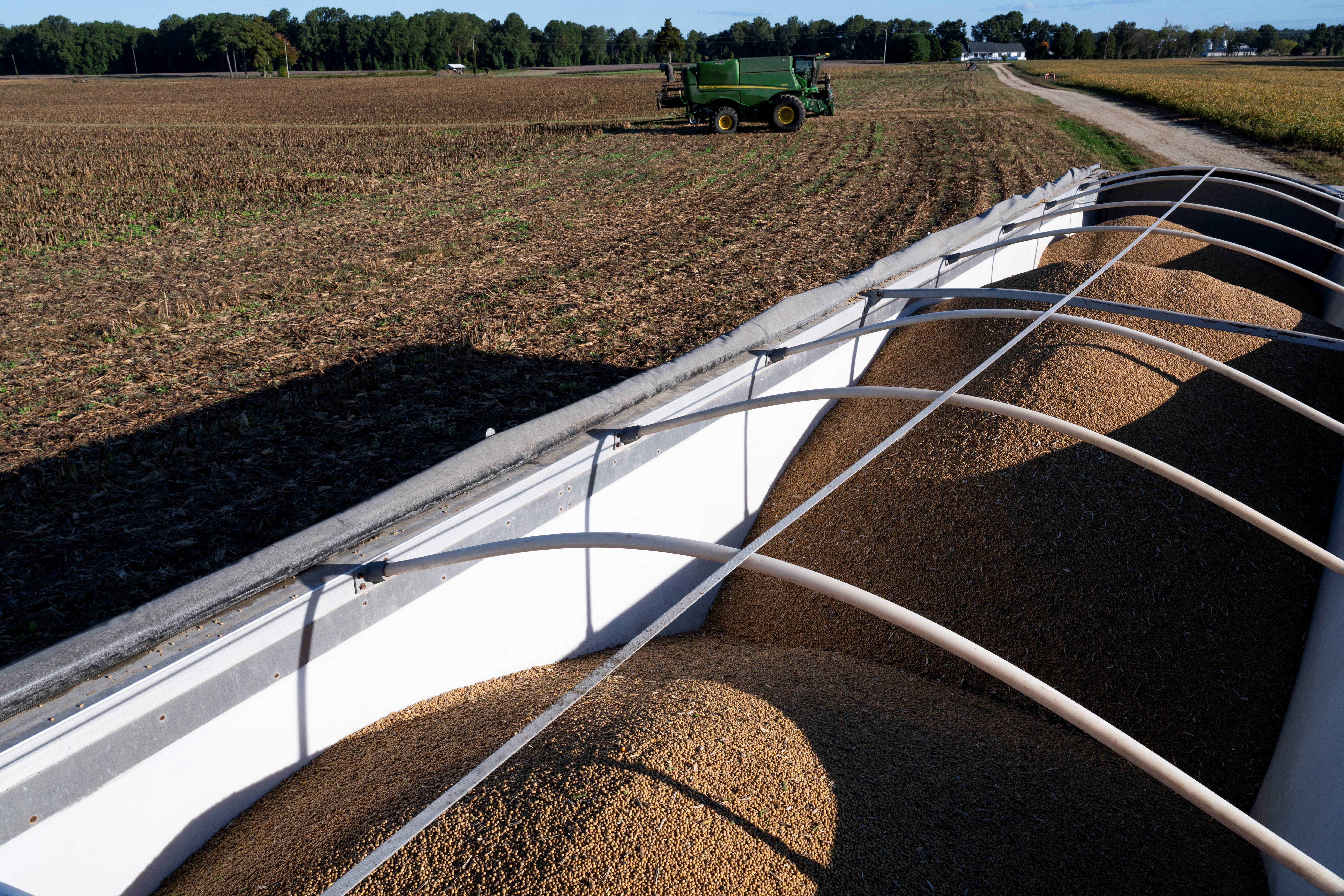 US soybean farmers battered by trade row with China