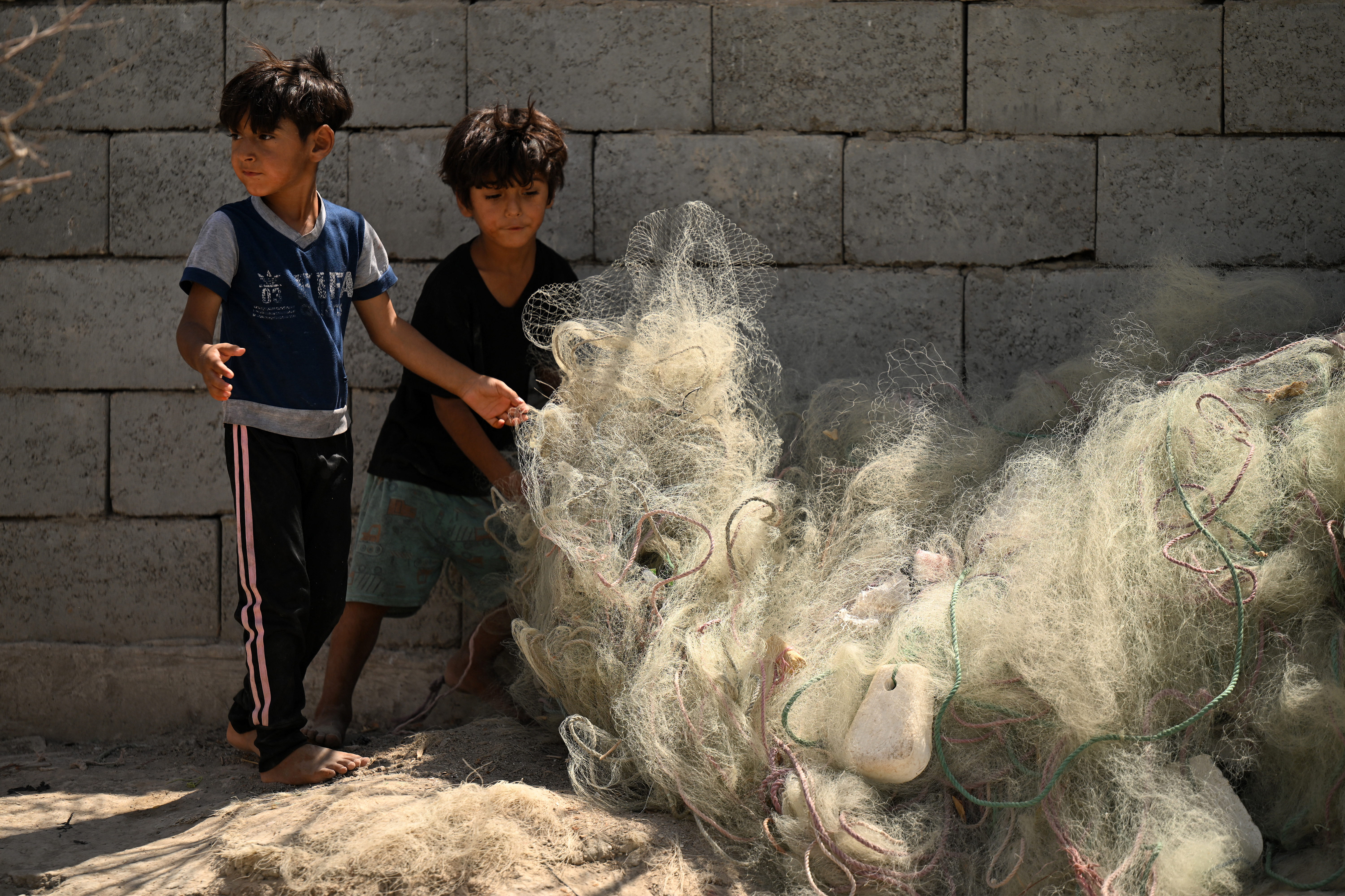 Water salinity hurting farmers, livestock in Iraq