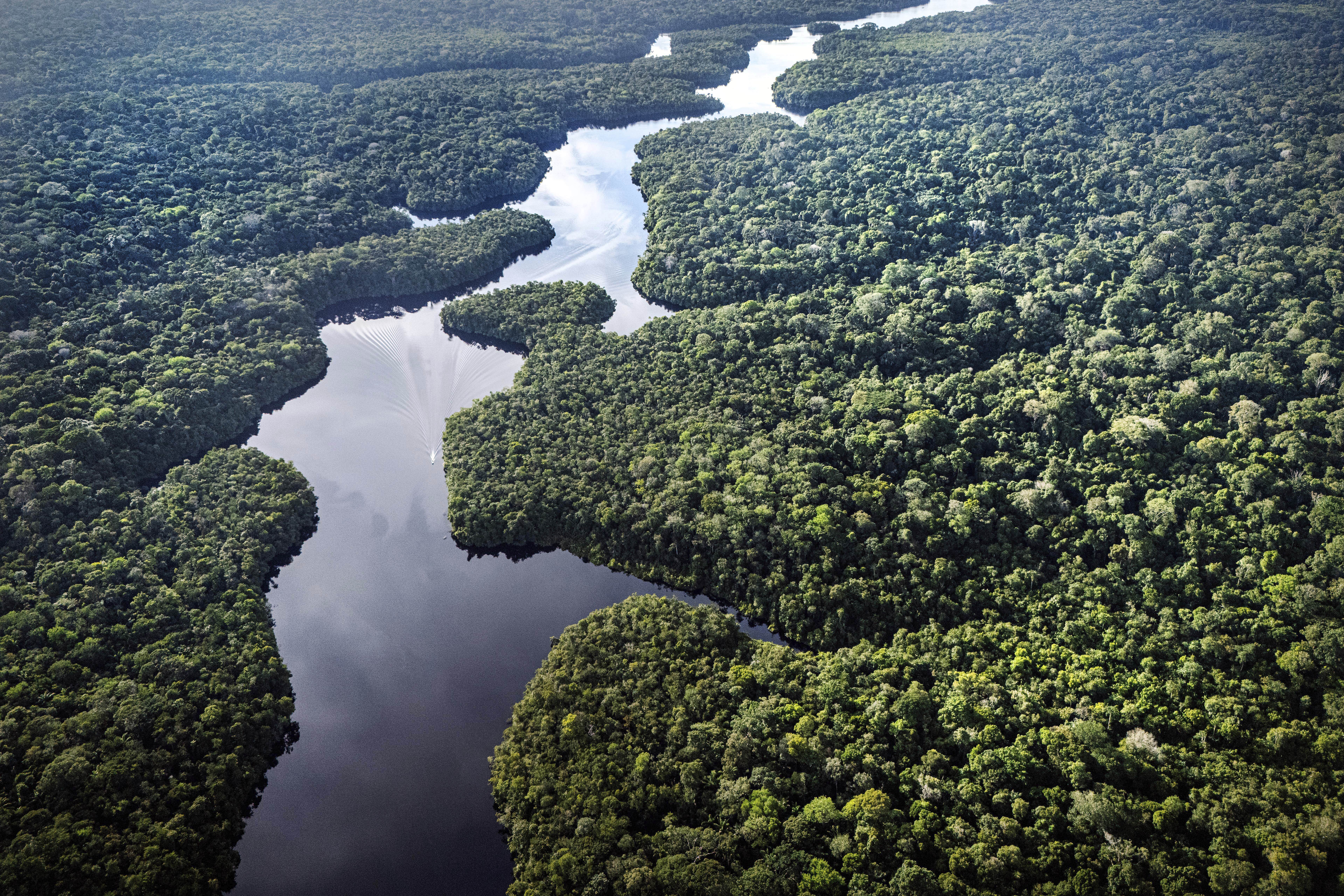 The Curua River cuts through the Amazon Rainforest