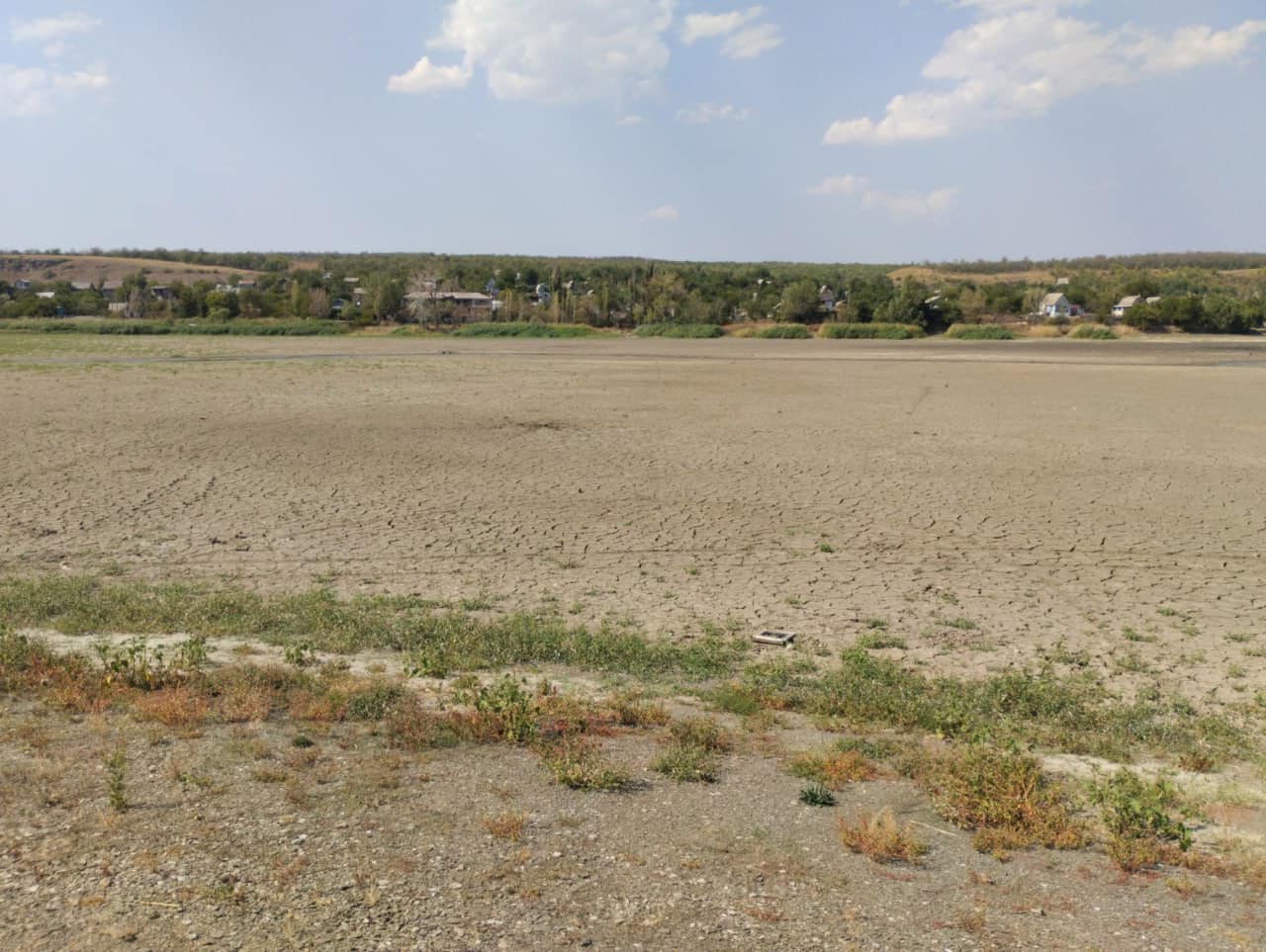 a died-up reservoir in the Donetsk region-1761659594