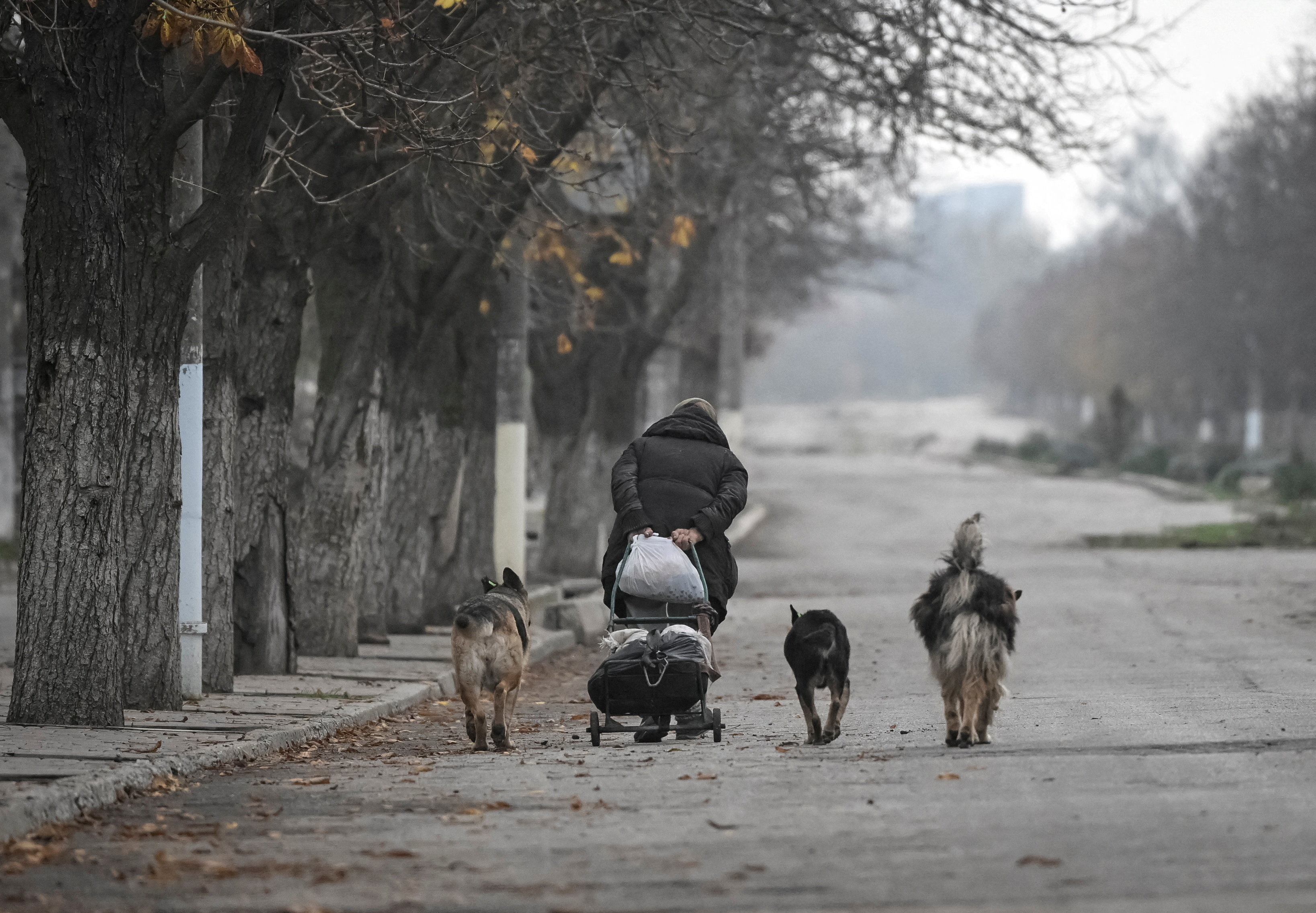 A woman pulls a cart while walking down an empty street with dogs in the frontline town of Orikhiv, amid Russia’s attack on Ukraine, in Zaporizhzhia region, Ukraine, November 13, 2025. REUTERS/Stringer TPX IMAGES OF THE DAY