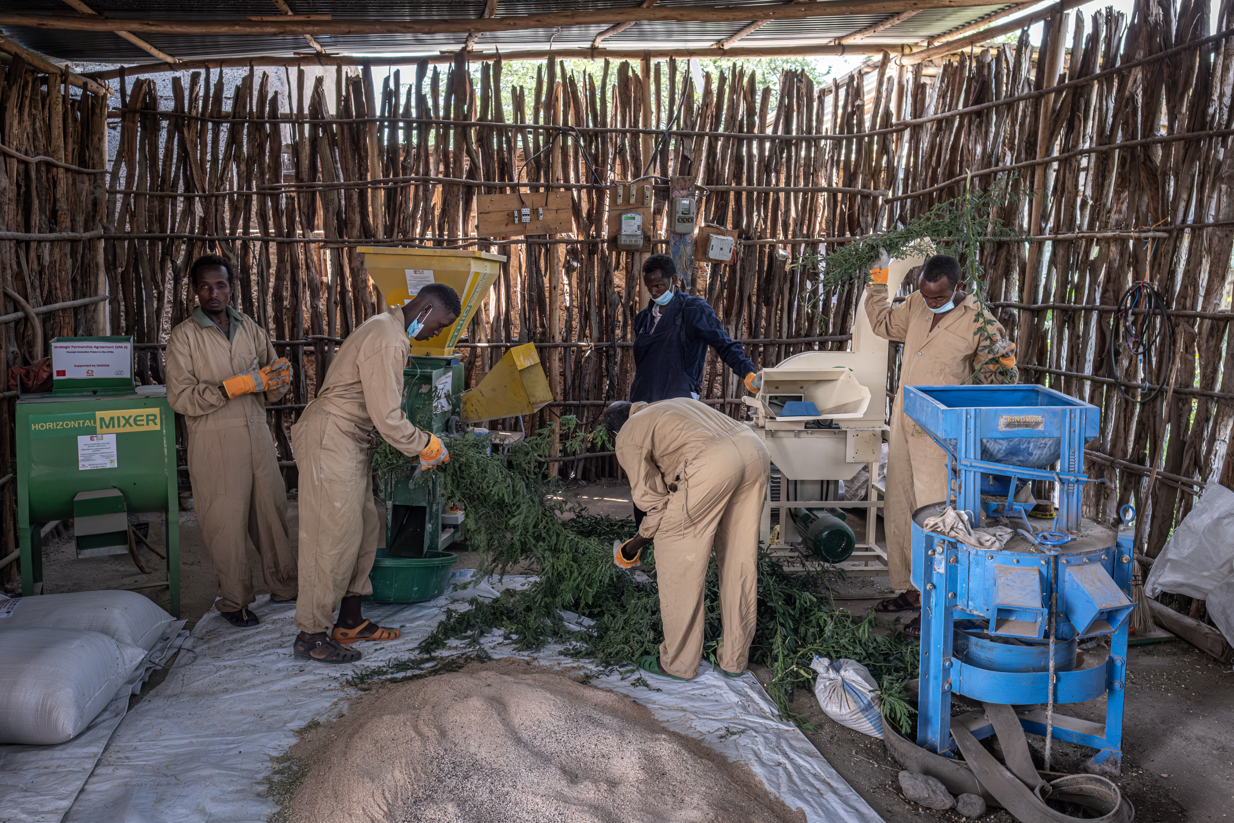 Non-native tree devastates Ethiopia’s ecosystems and threatens livelihoods