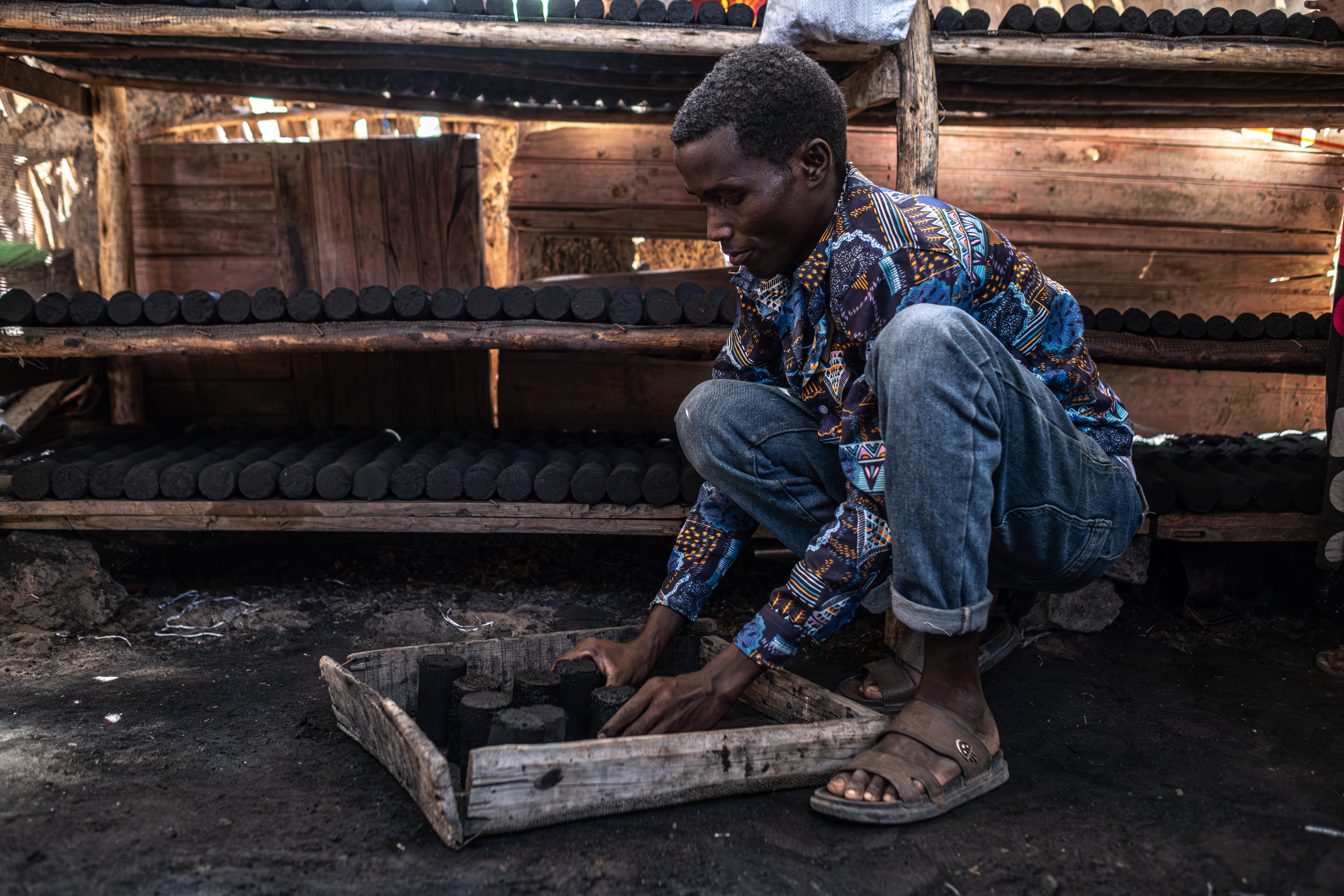 Non-native tree devastates Ethiopia’s ecosystems and threatens livelihoods