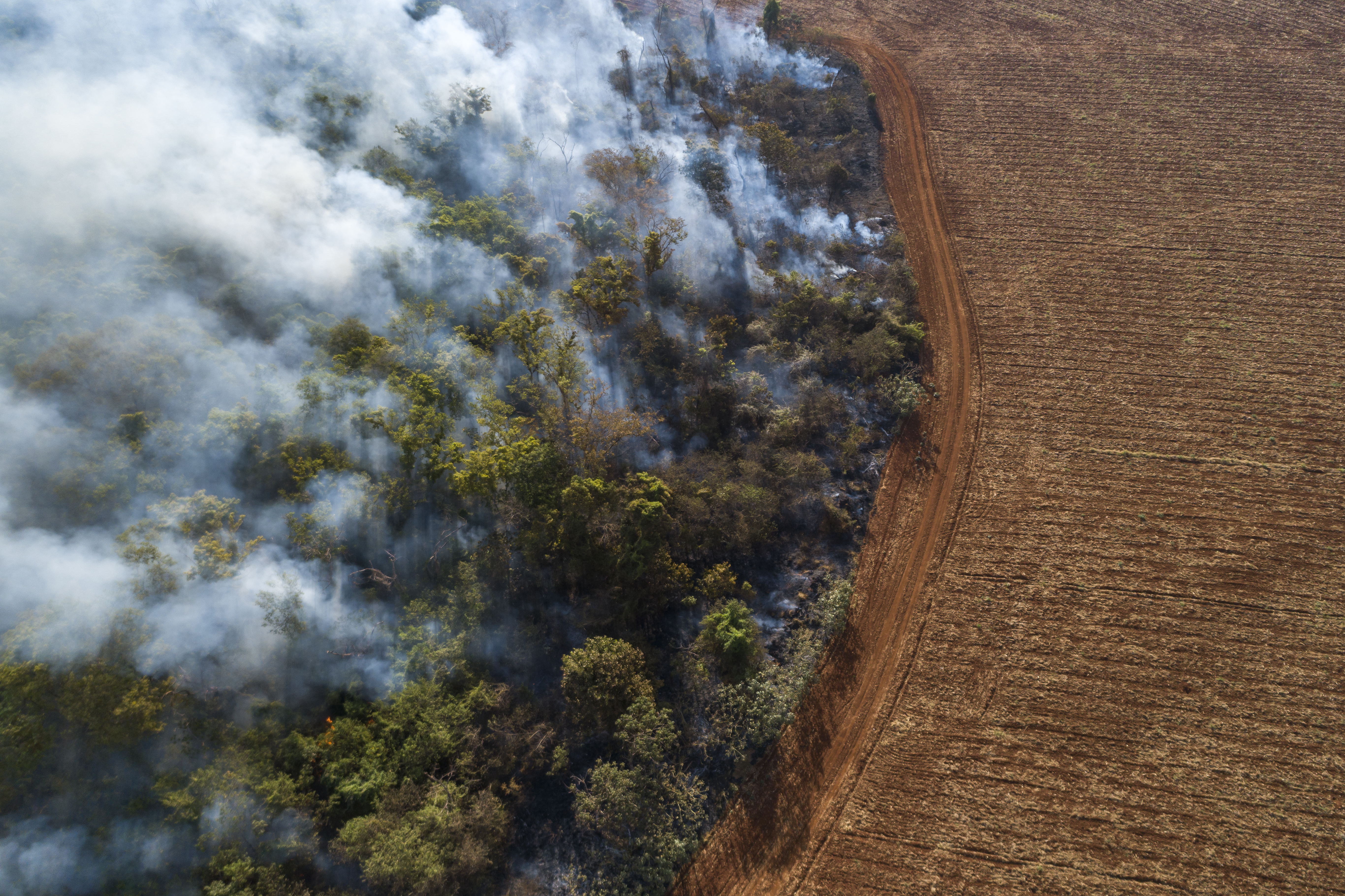 Aerial view of triggered forest fire and deforestation for planting soybeans, on September 2020, in the Amazon Rainforest, Vilhena - Rondonia state. [Courtesy Andre Dib, WWF Brazil]