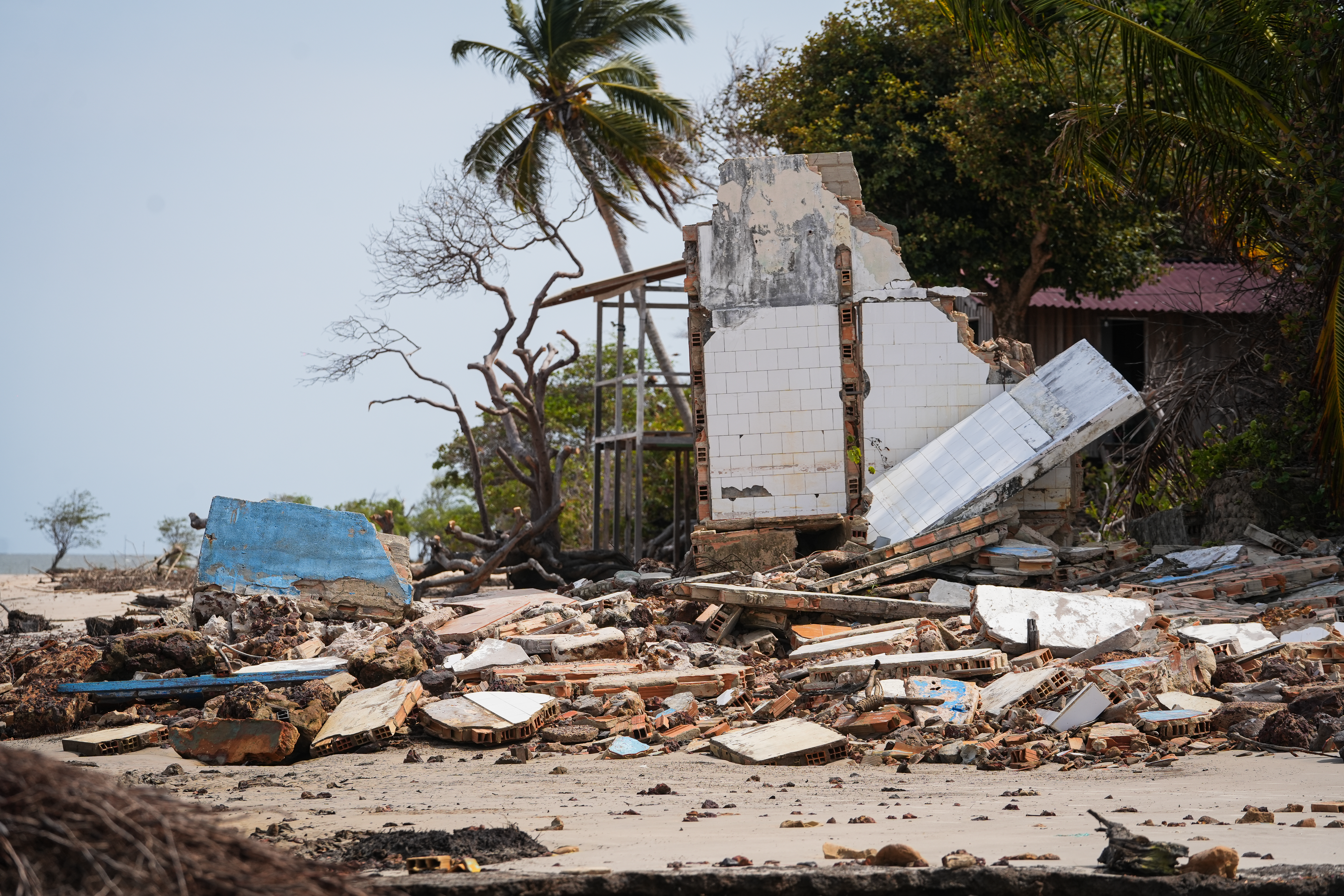 Pieces of furniture, fishing nets, and fence posts lie tangled in the mangroves – traces of homes the sea took away.