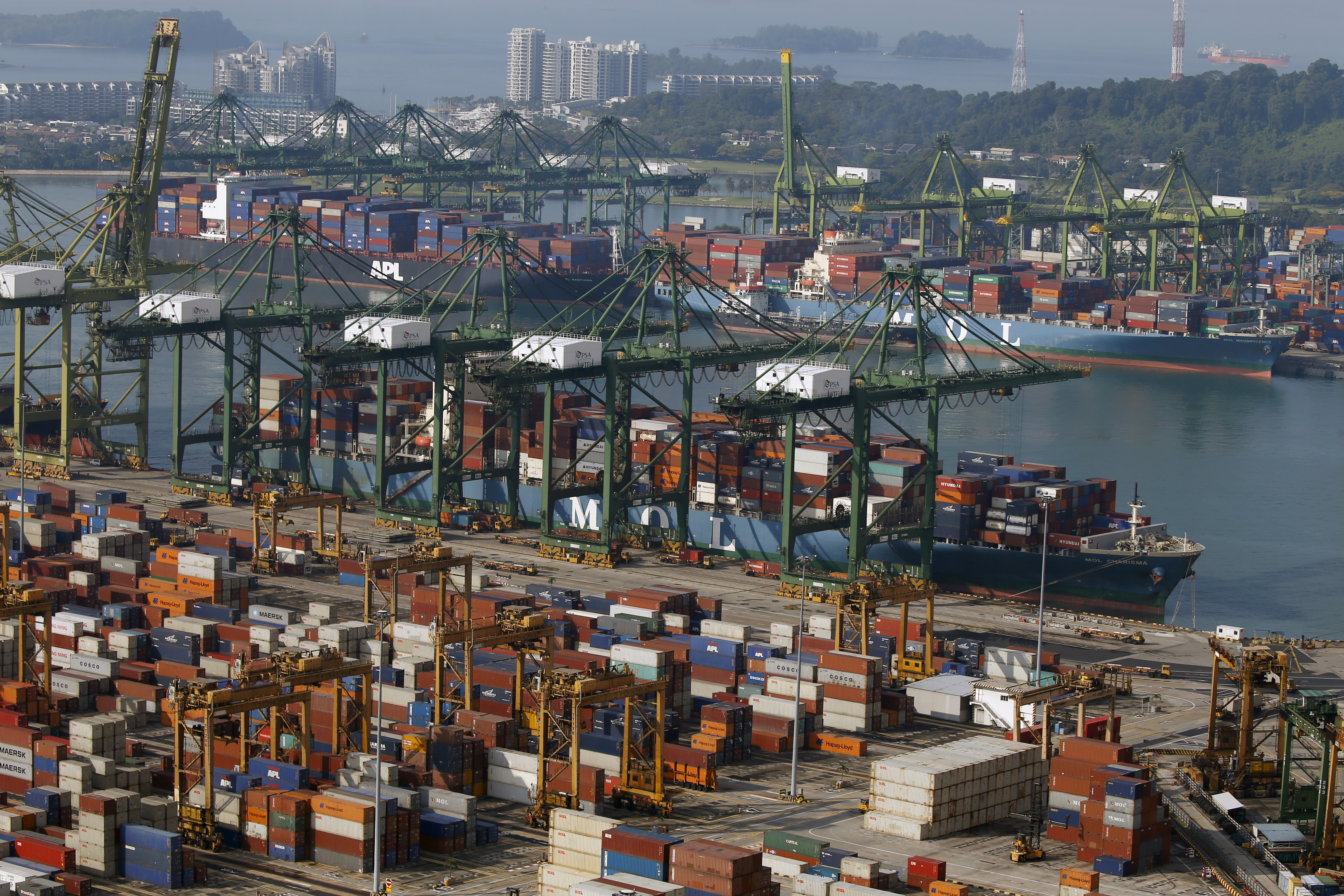 A ship docks at PSA's Tanjong Pagar container port in Singapore [File: Edgar Su/Reuters]