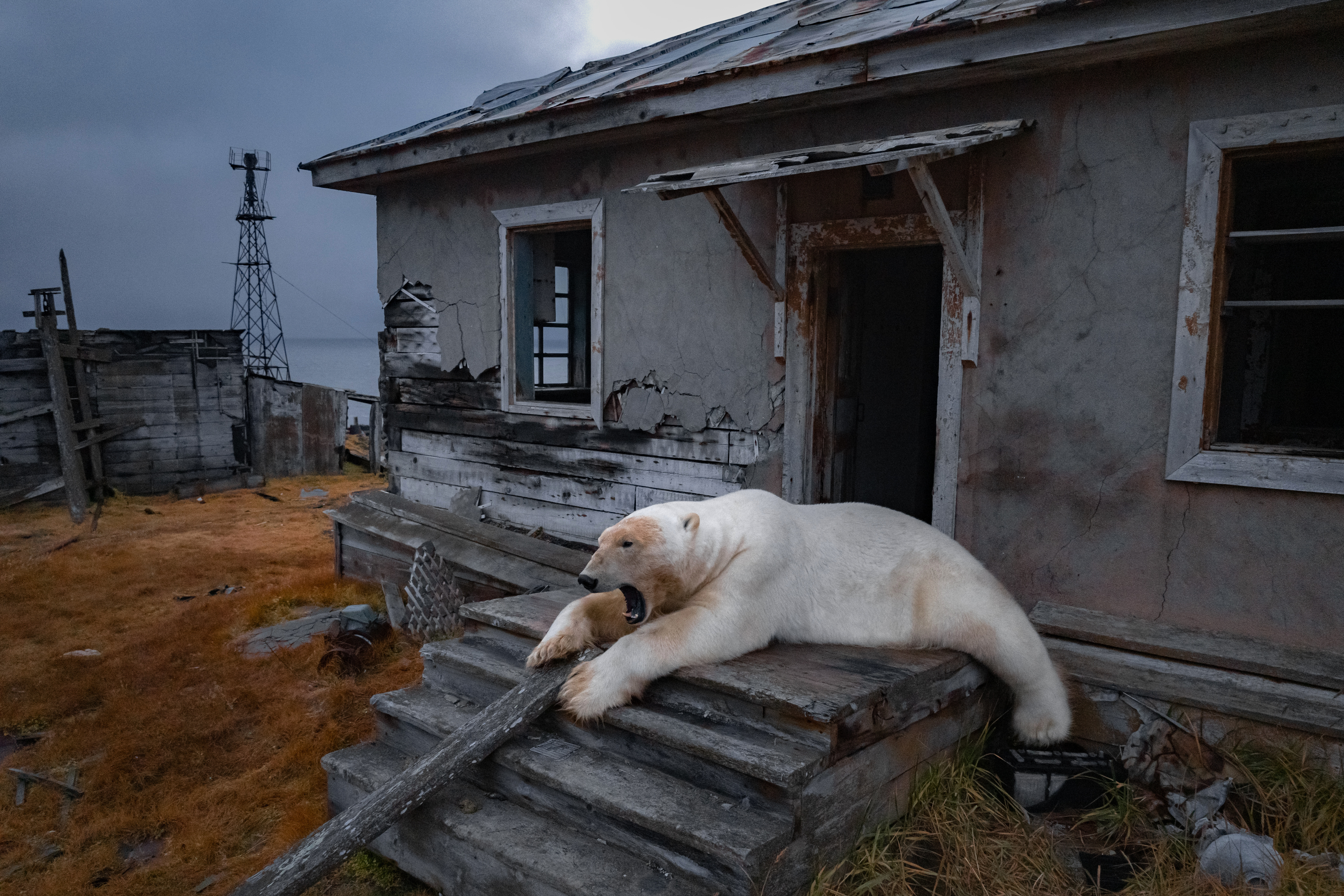 Photos: Global stories of 2025 in pictures