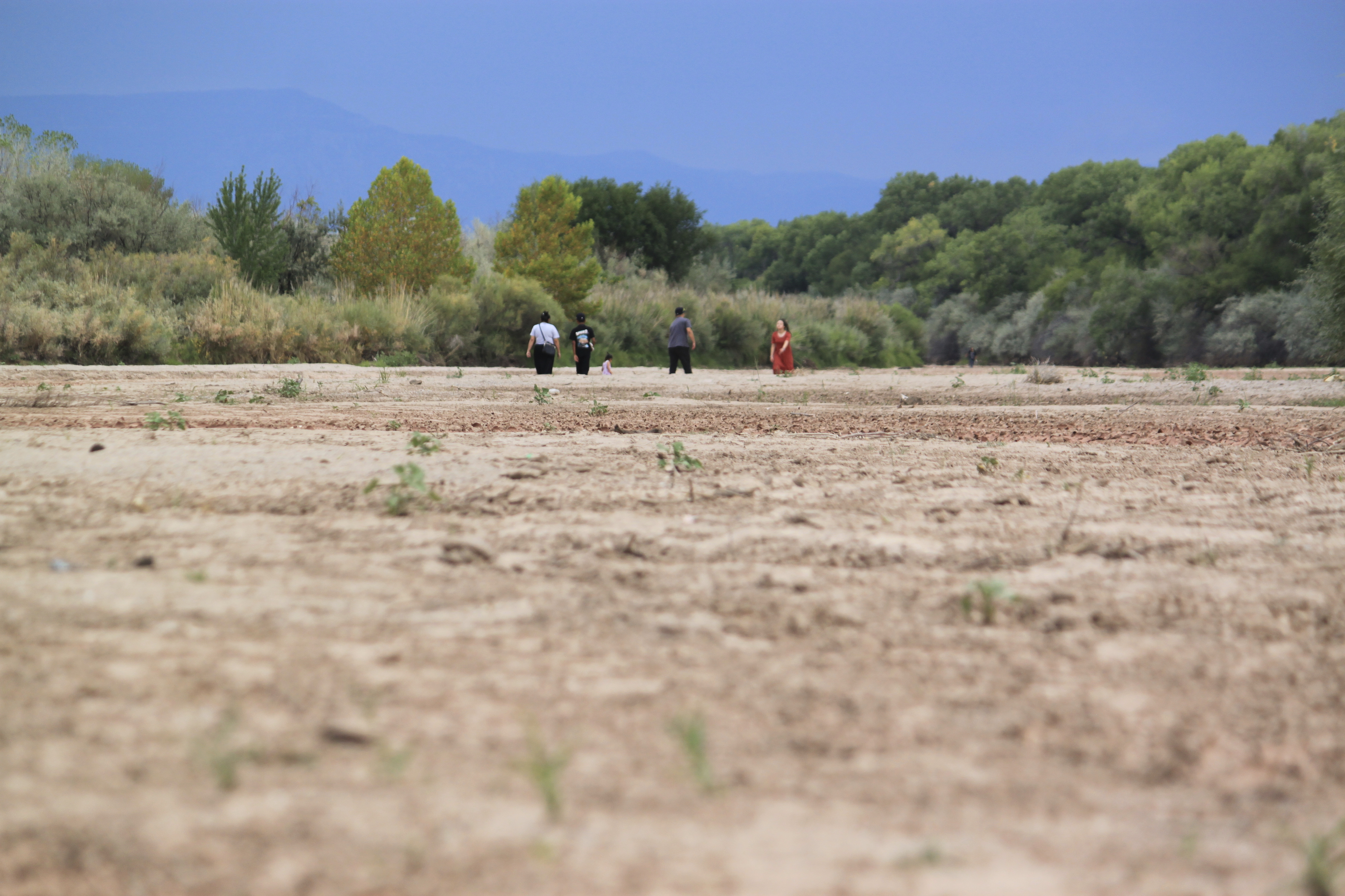 Dry farmland in Albuquerque