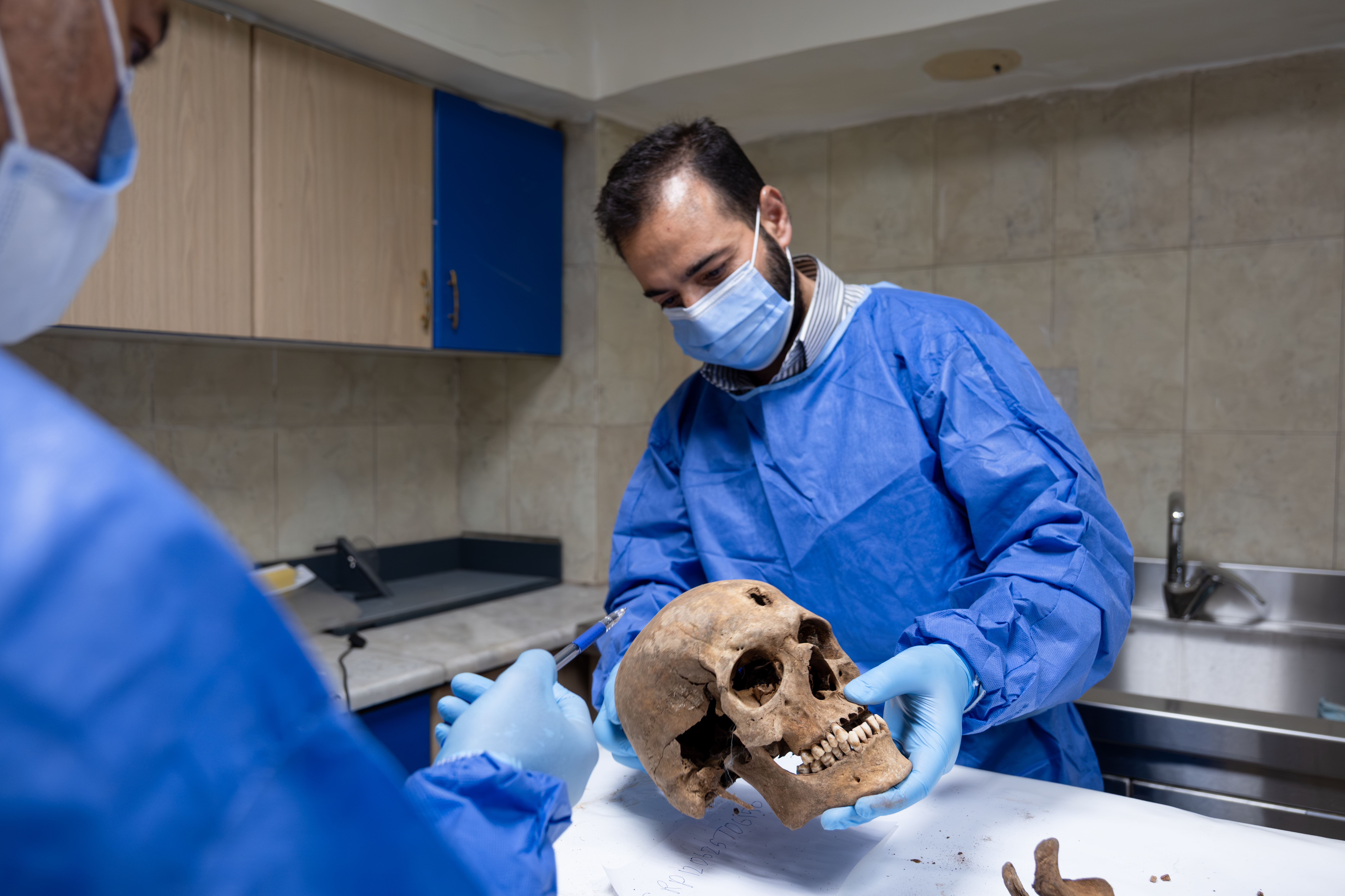 Forensic specialist in blue scrubs holds a skull he is examining.