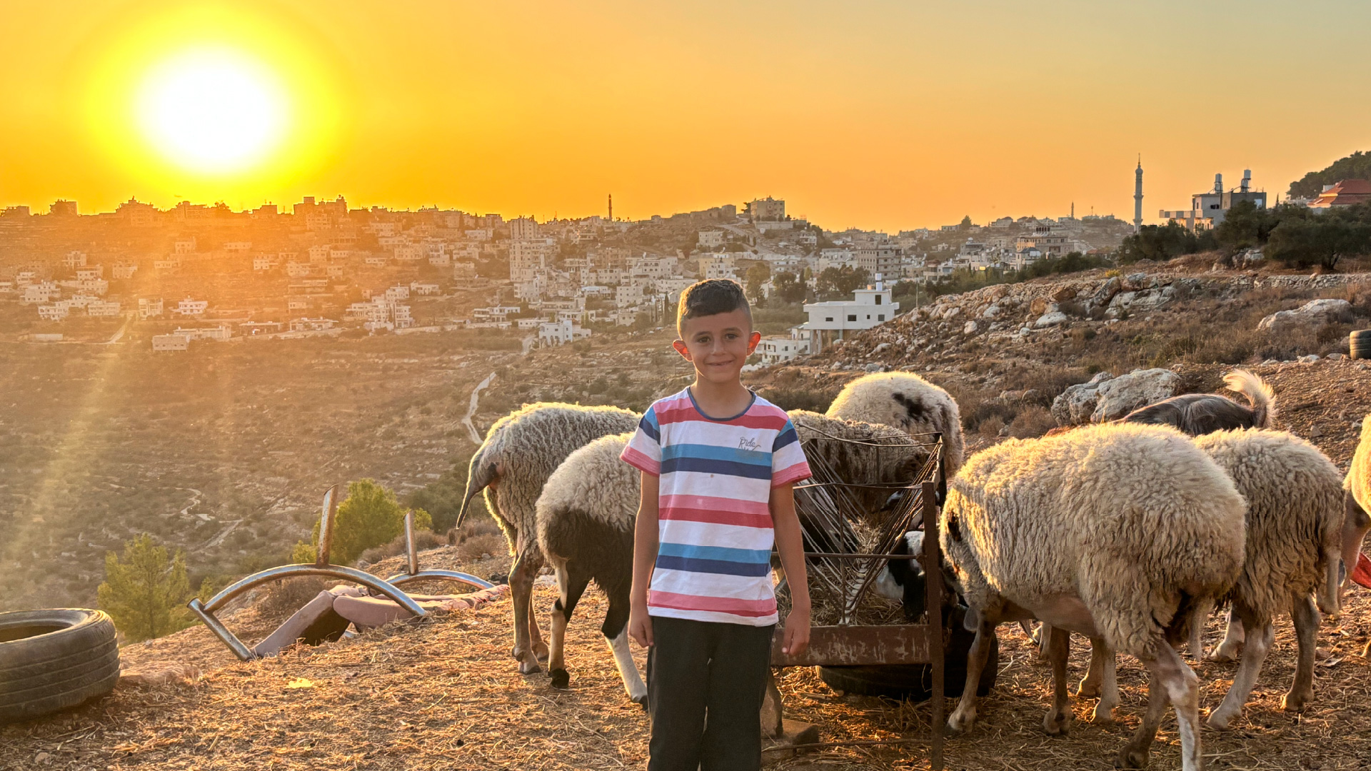 INTERACTIVE - CHild in the Uthman family feeding sheep-1764685572