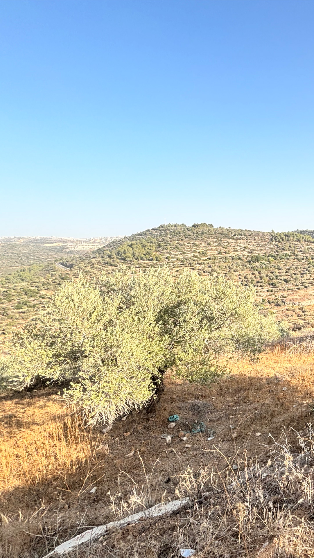 INTERACTIVE - Mobile Ali Uthman pointing out lands he bought but can't access-1764685602