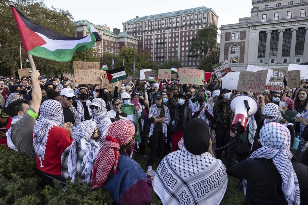 Pro-Palestine demonstrators