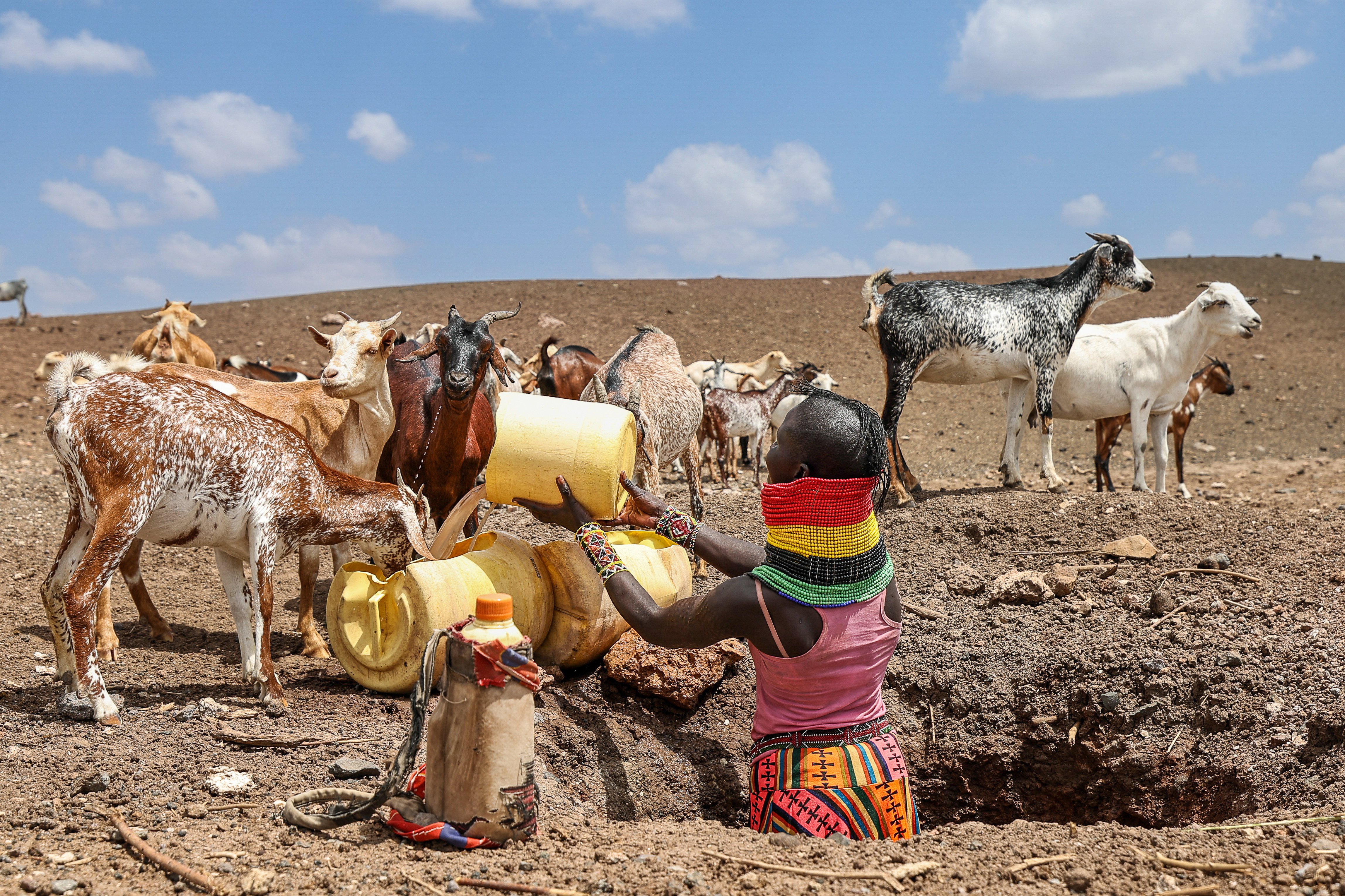 Severe drought leaves over two million Kenyans hungry and desperate