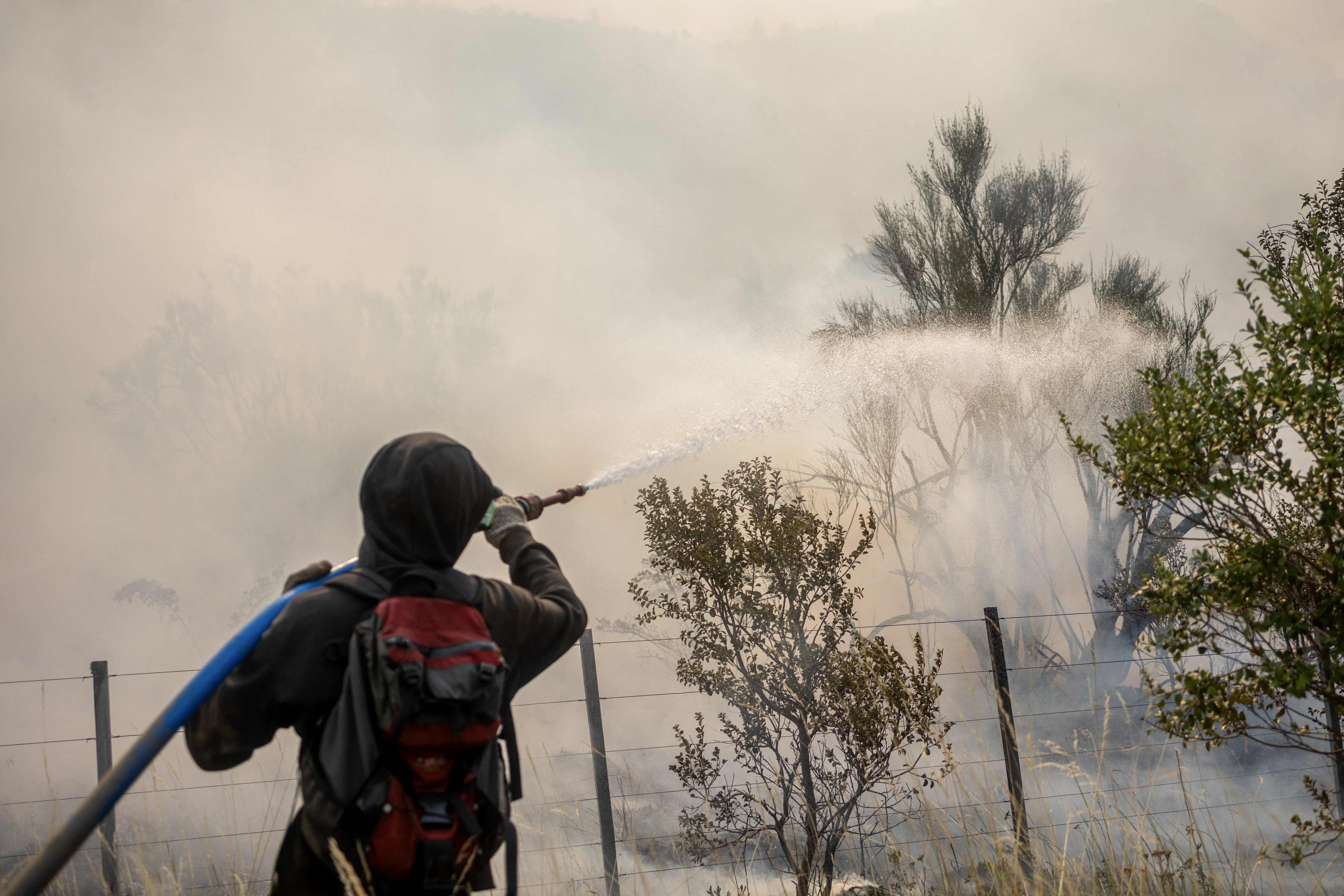 Wildfires devastate Argentina's Patagonia, threaten ancient forests