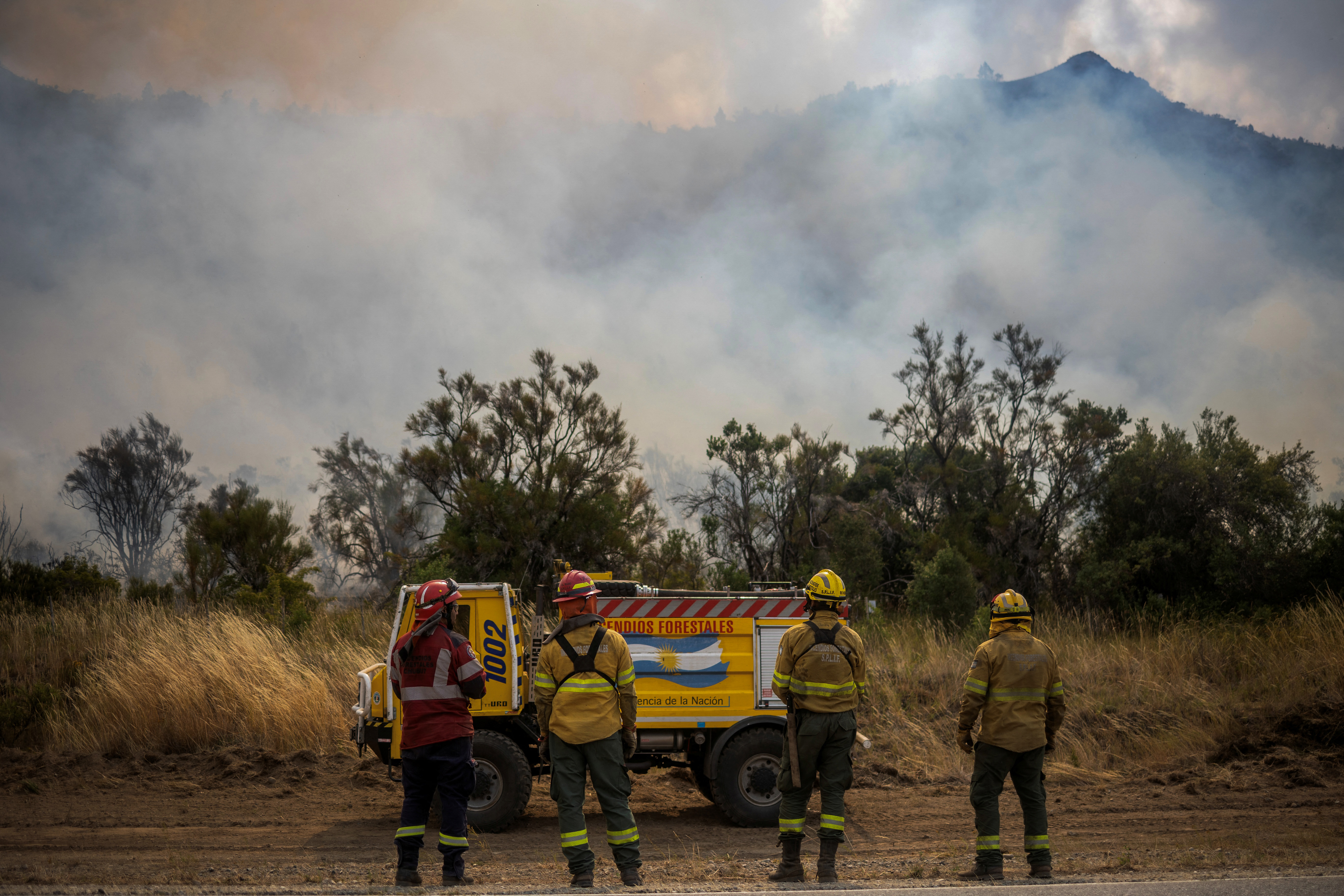Wildfires devastate Argentina's Patagonia, threaten ancient forests