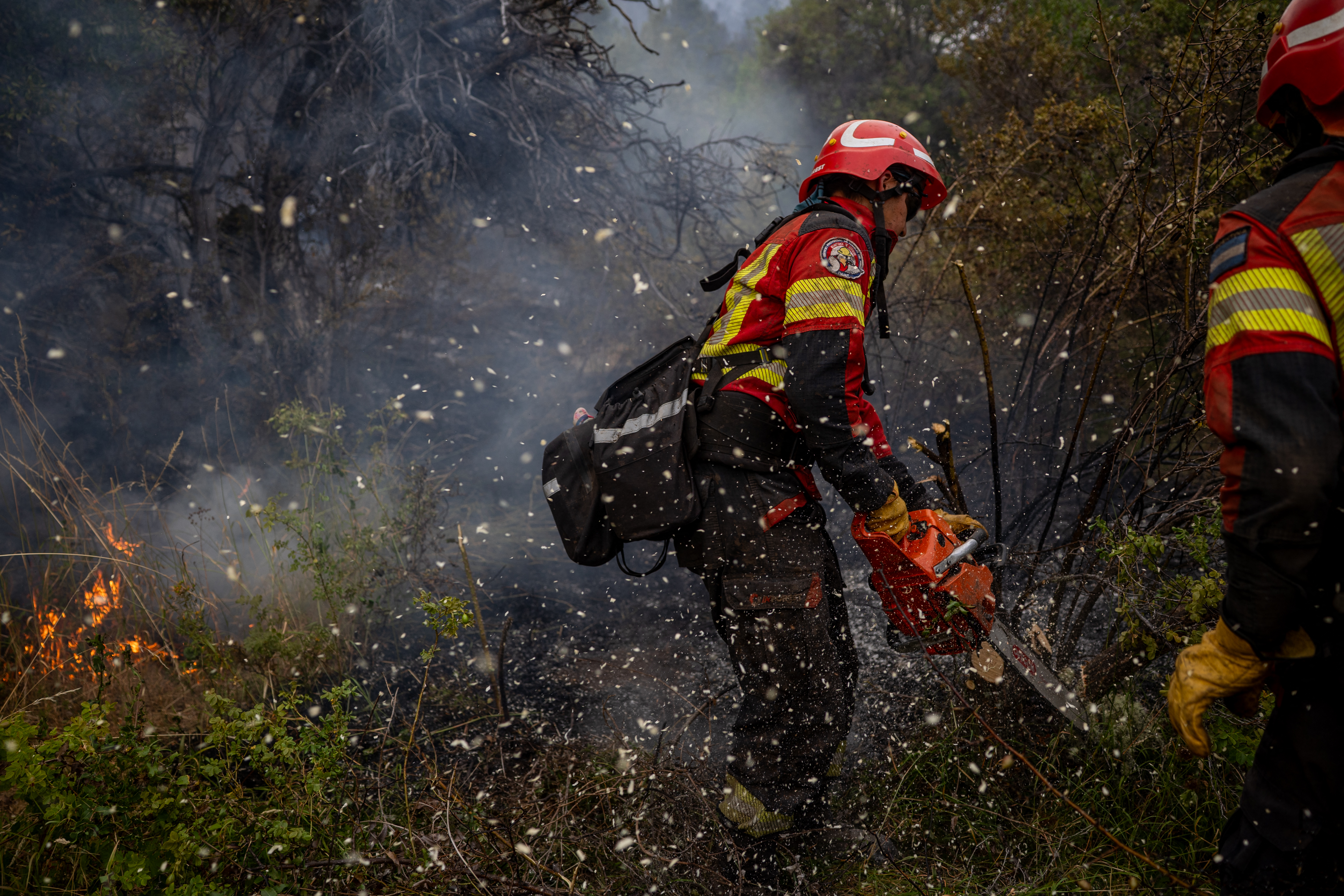 Wildfires devastate Argentina's Patagonia, threaten ancient forests