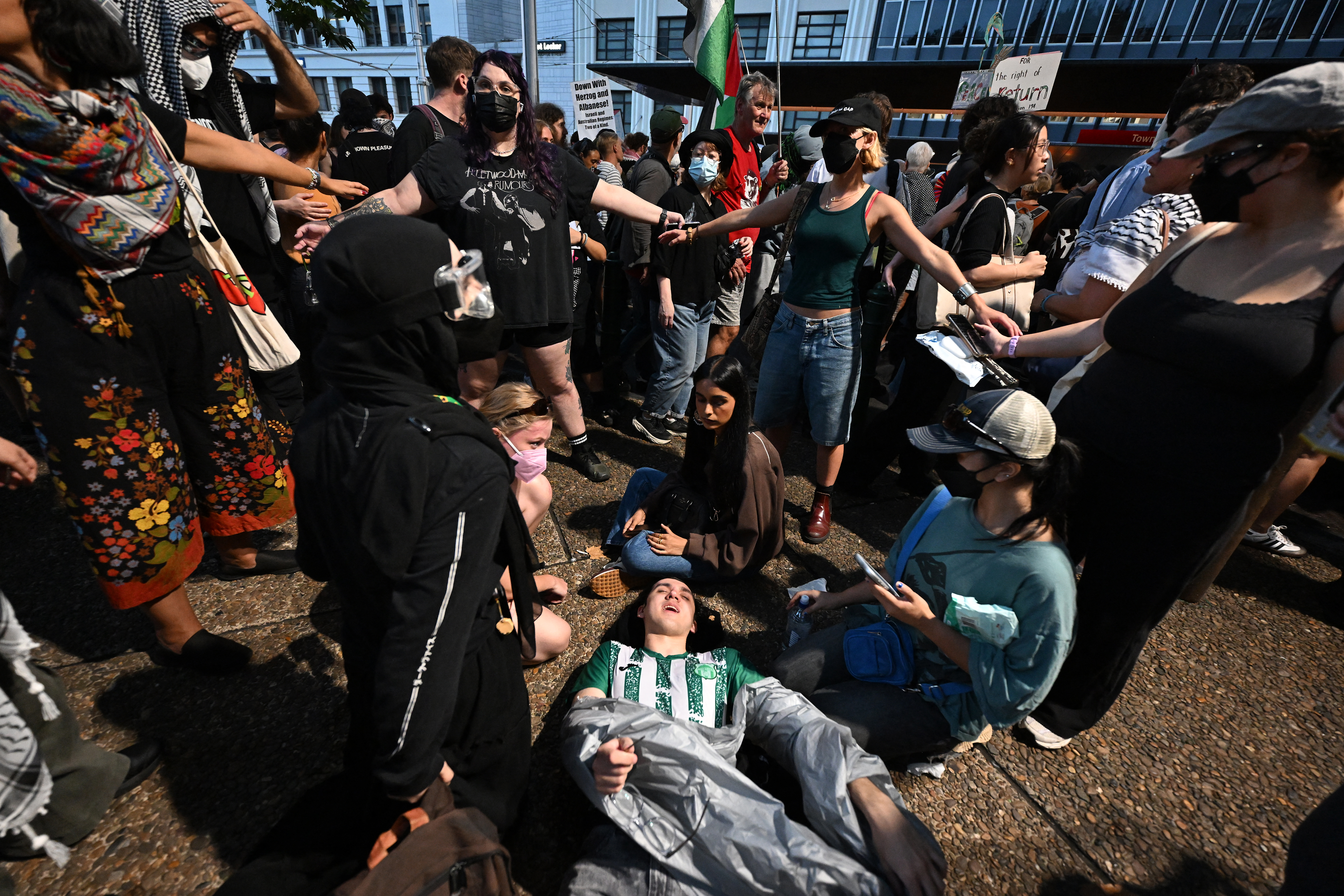Sydney police use pepper spray on protesters during Herzog visit
