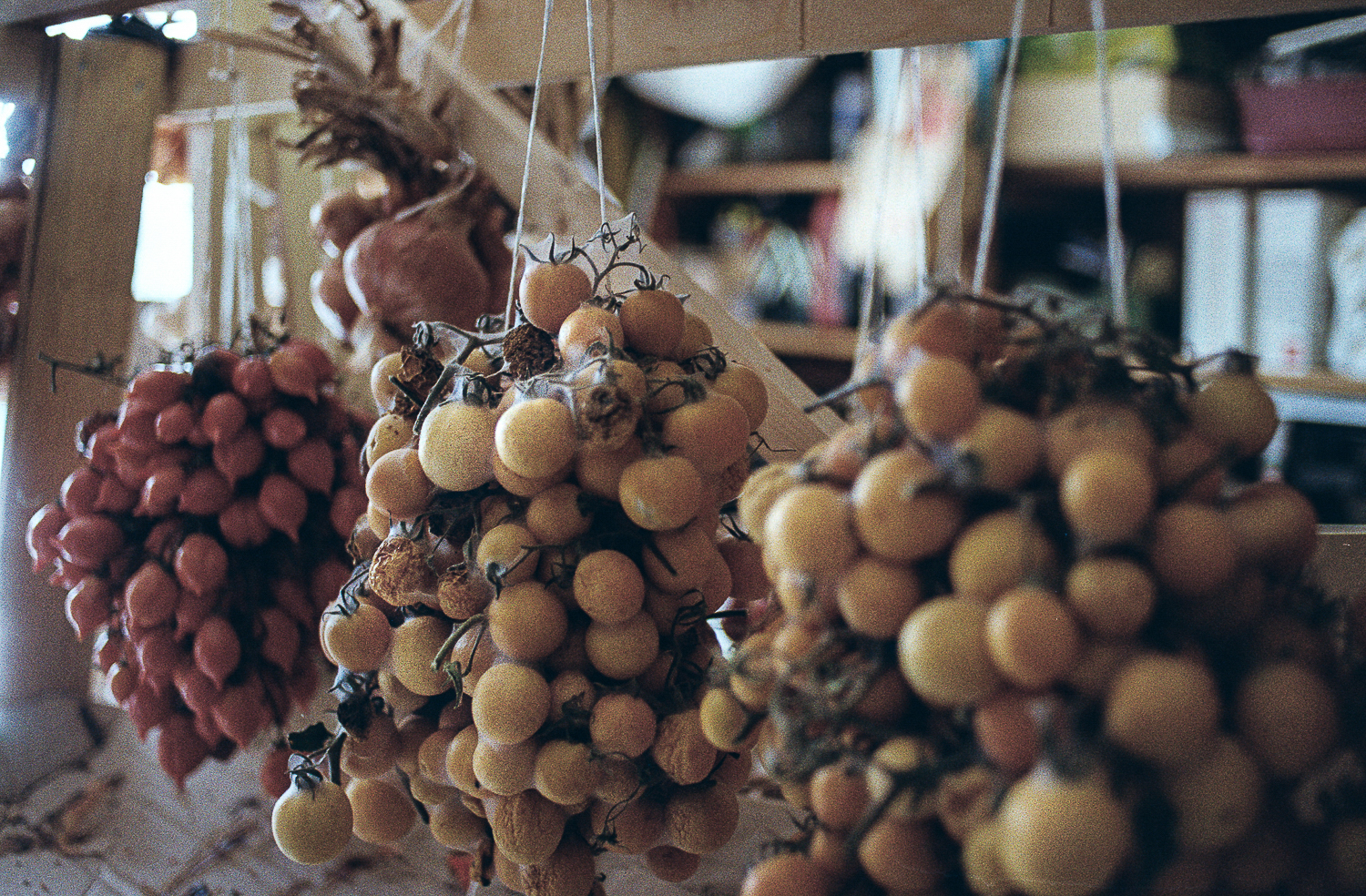 Italy parenting on the margins [Lavinia Nocelli/Al Jazeera]