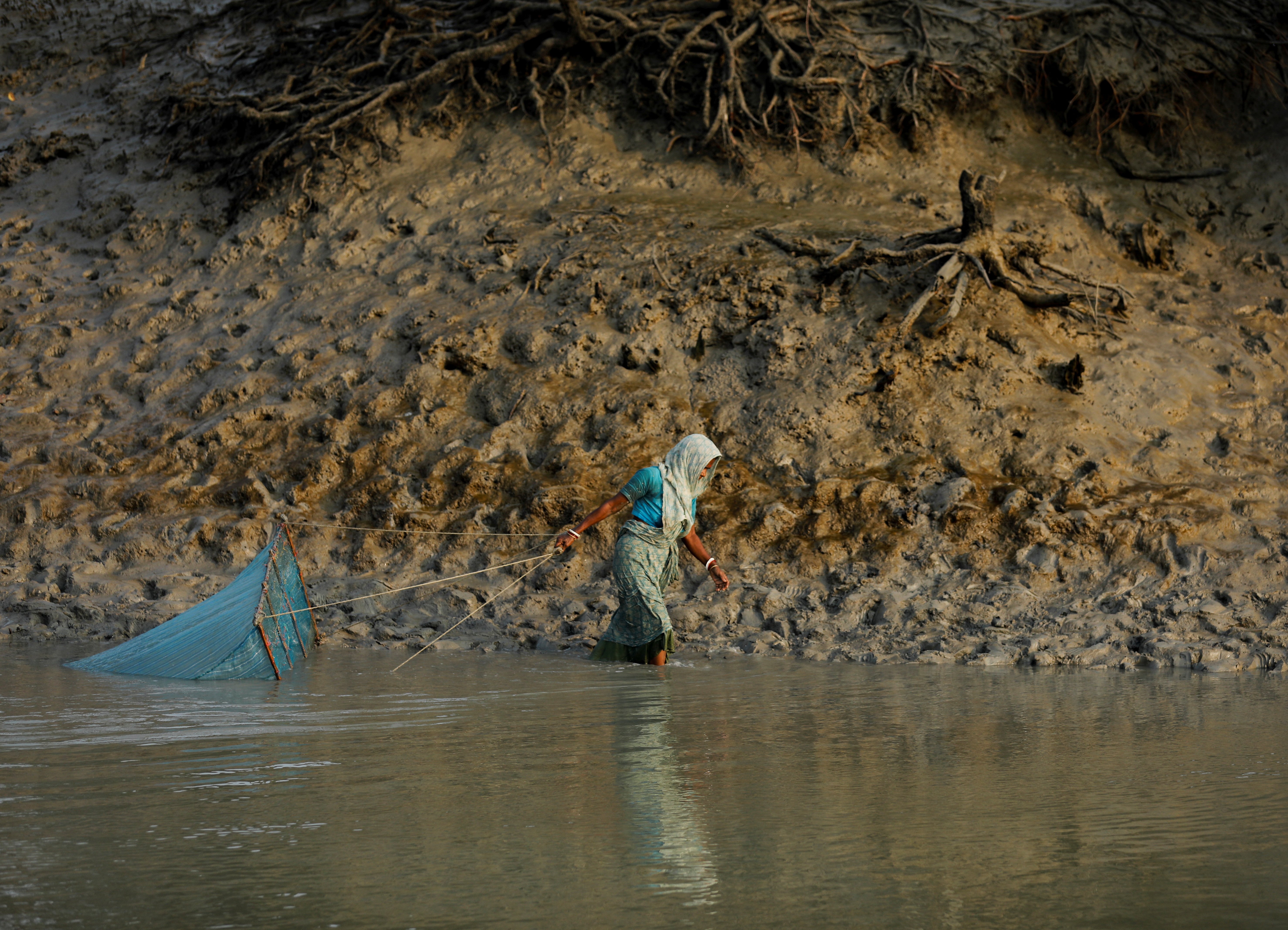 Sundarban