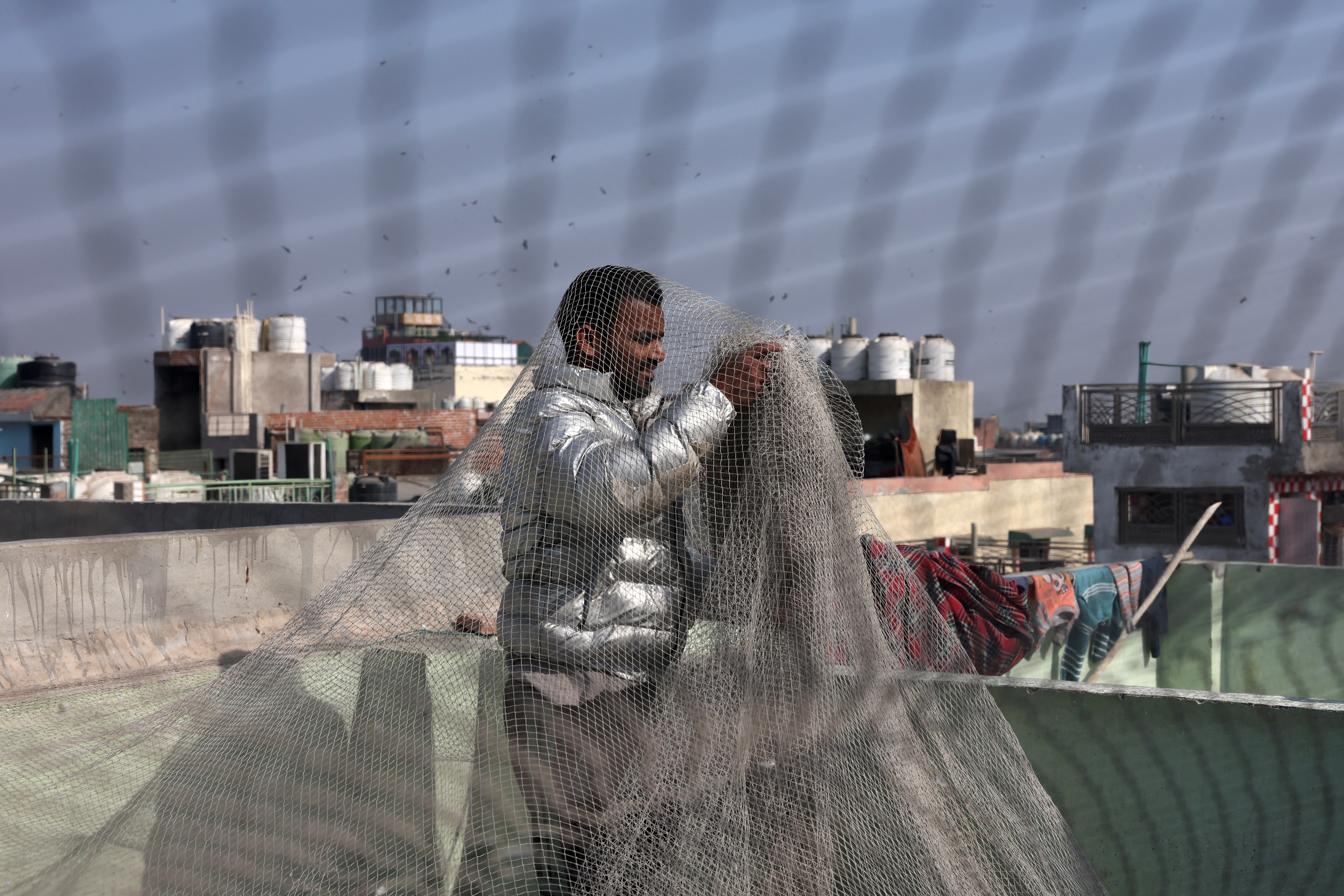 Mughal-era pigeon training survives in heart of India's capital