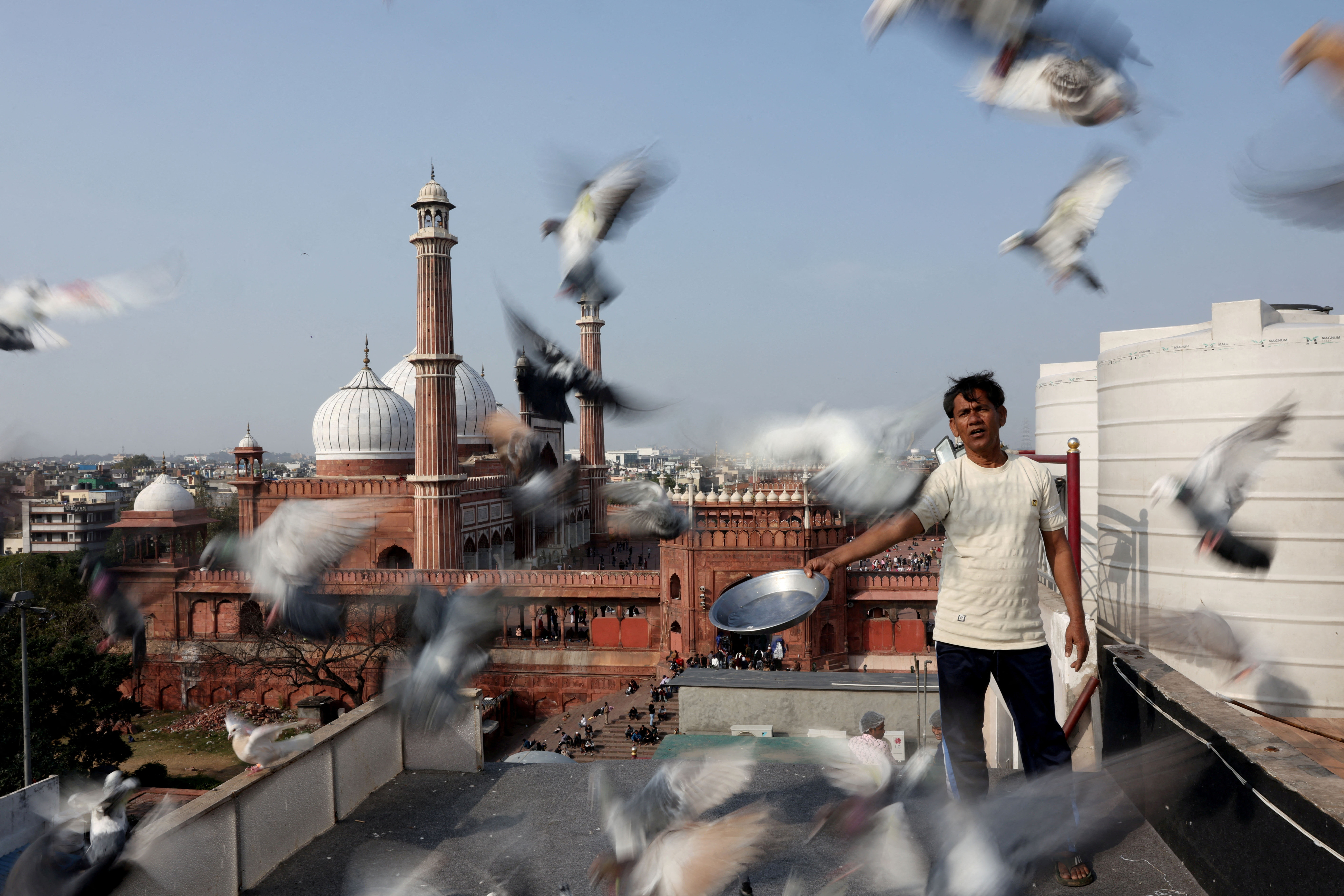 Mughal-era pigeon training survives in heart of India's capital