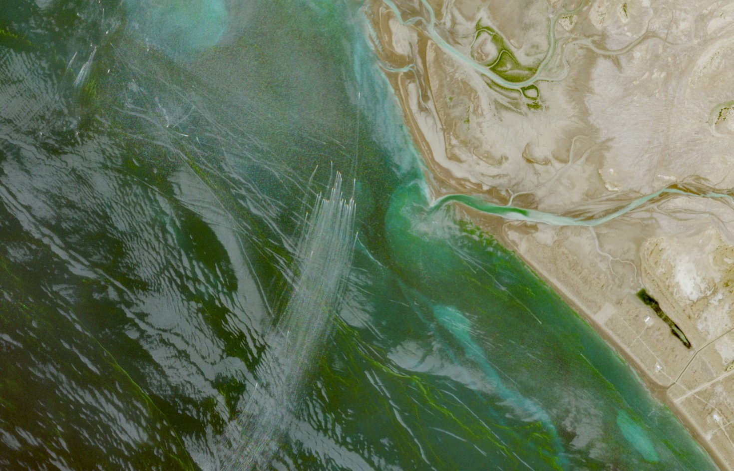 Iran boats